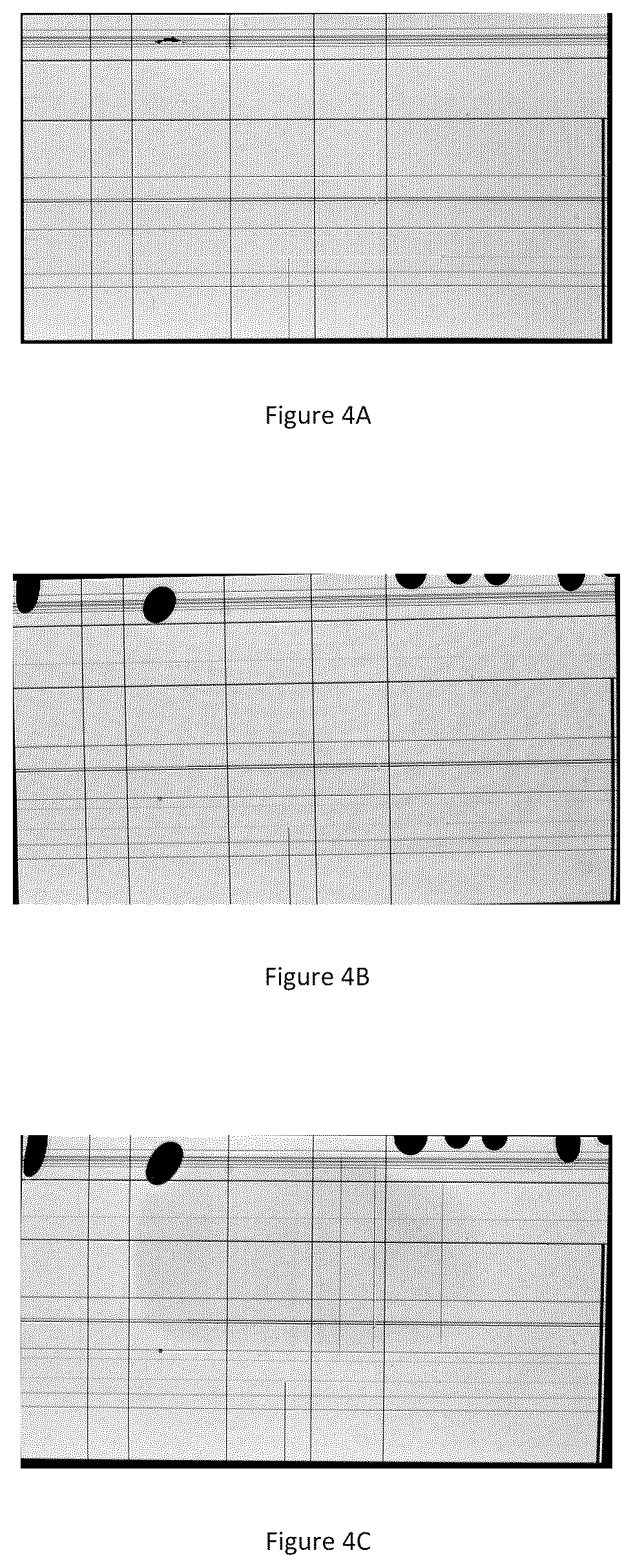 Patent US12386226 Figure 3 – Liquid crystal display devices
