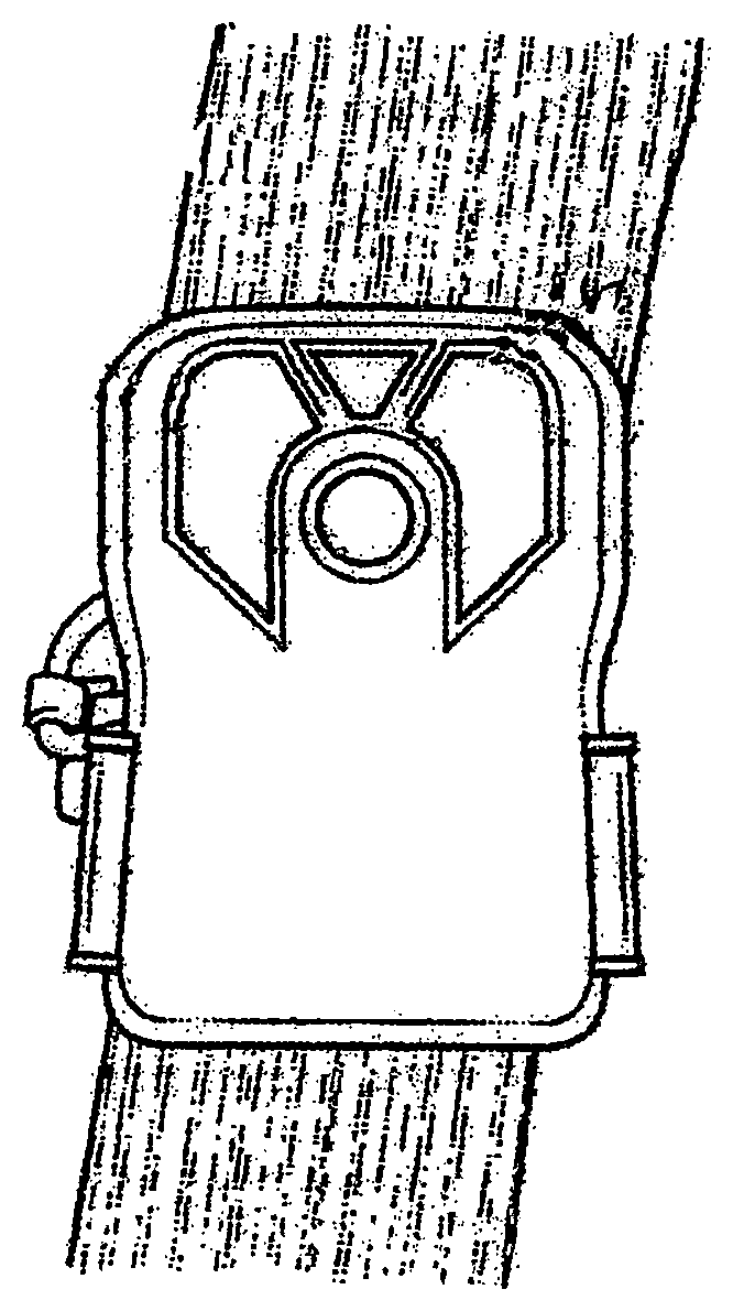 Patent US12395741 Figure 1 – Wildlife camera with optical zoom capability