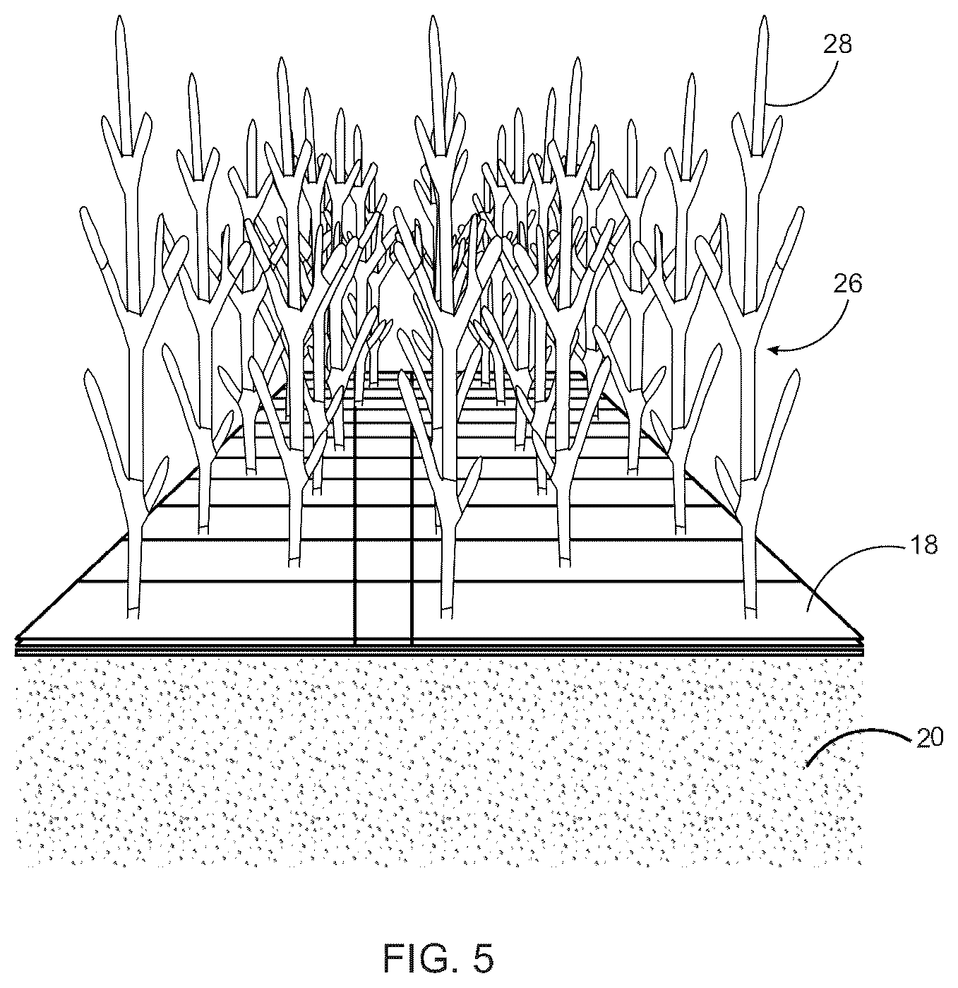 Patent US12396409 Figure 5 – Mycelium growth bed with perforation layer and related method for creating a uniform sheet of mycelium from a solid-state medium