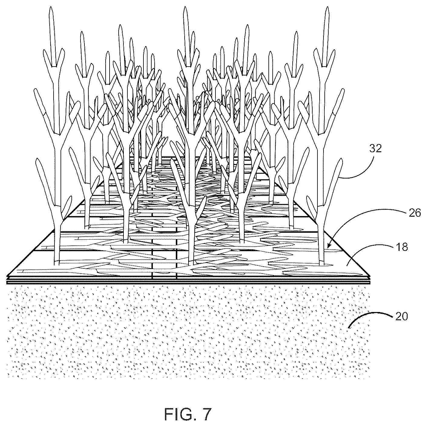 Patent US12396409 Figure 7 – Mycelium growth bed with perforation layer and related method for creating a uniform sheet of mycelium from a solid-state medium