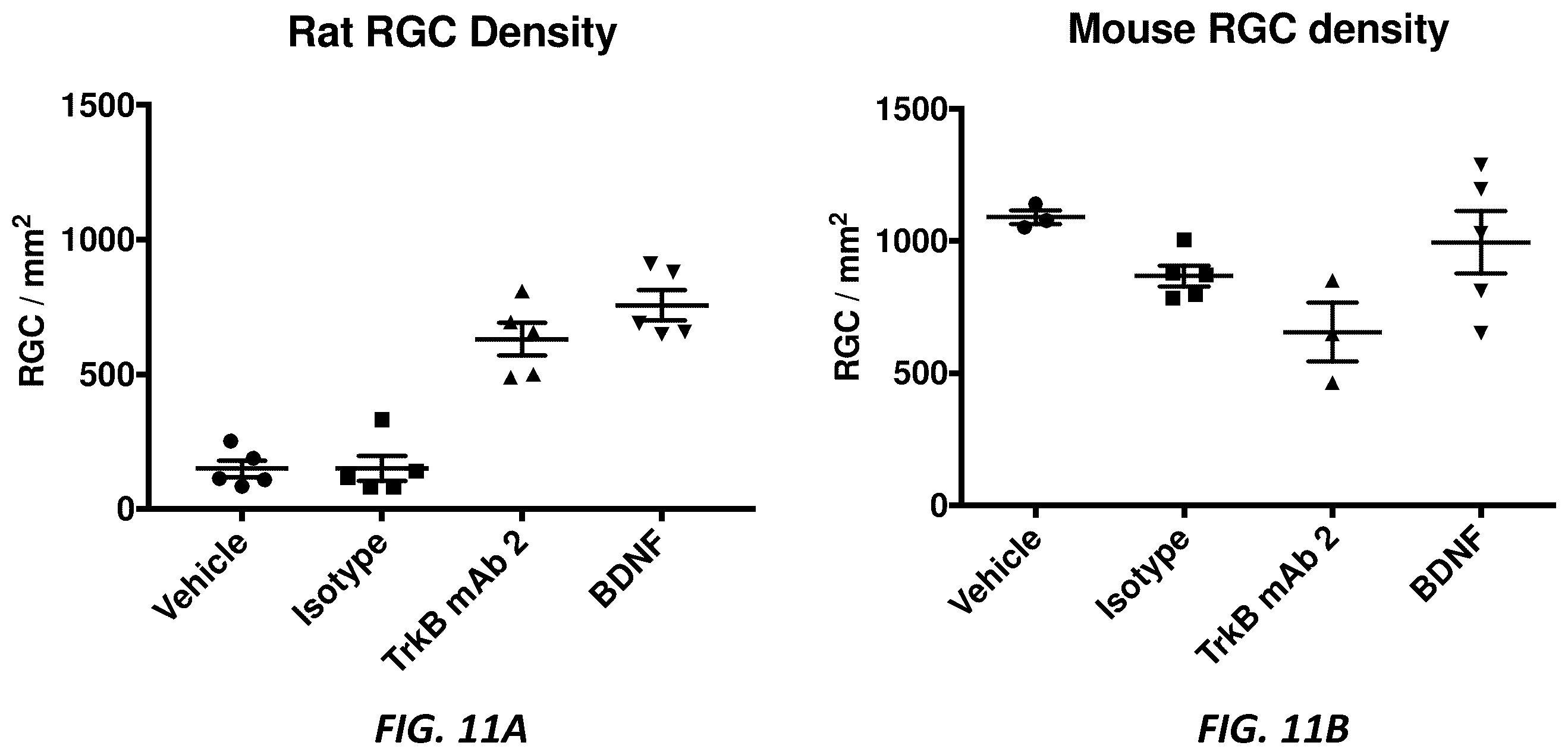 Patent US12396444 Figure 10 – Mouse comprising a humanized TRKB locus