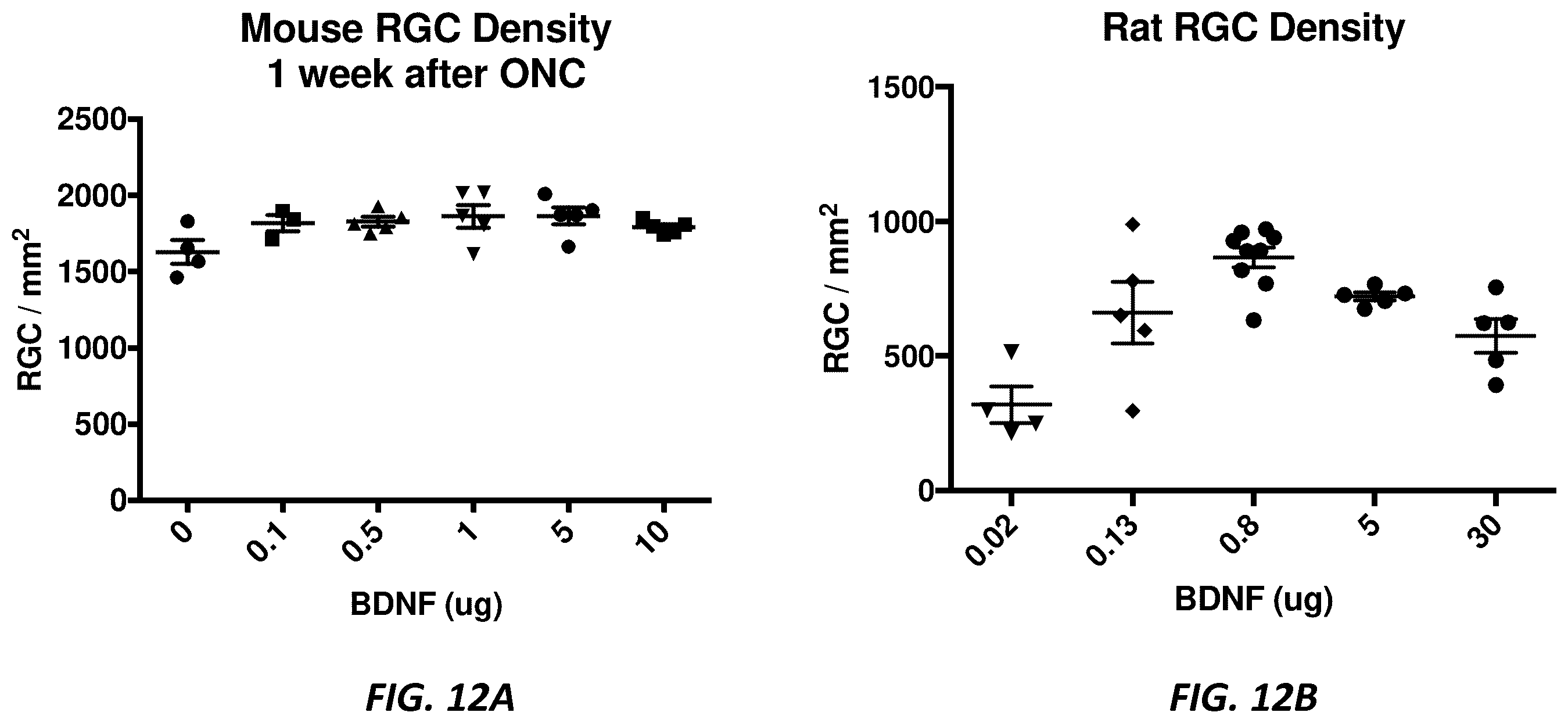 Patent US12396444 Figure 11 – Mouse comprising a humanized TRKB locus