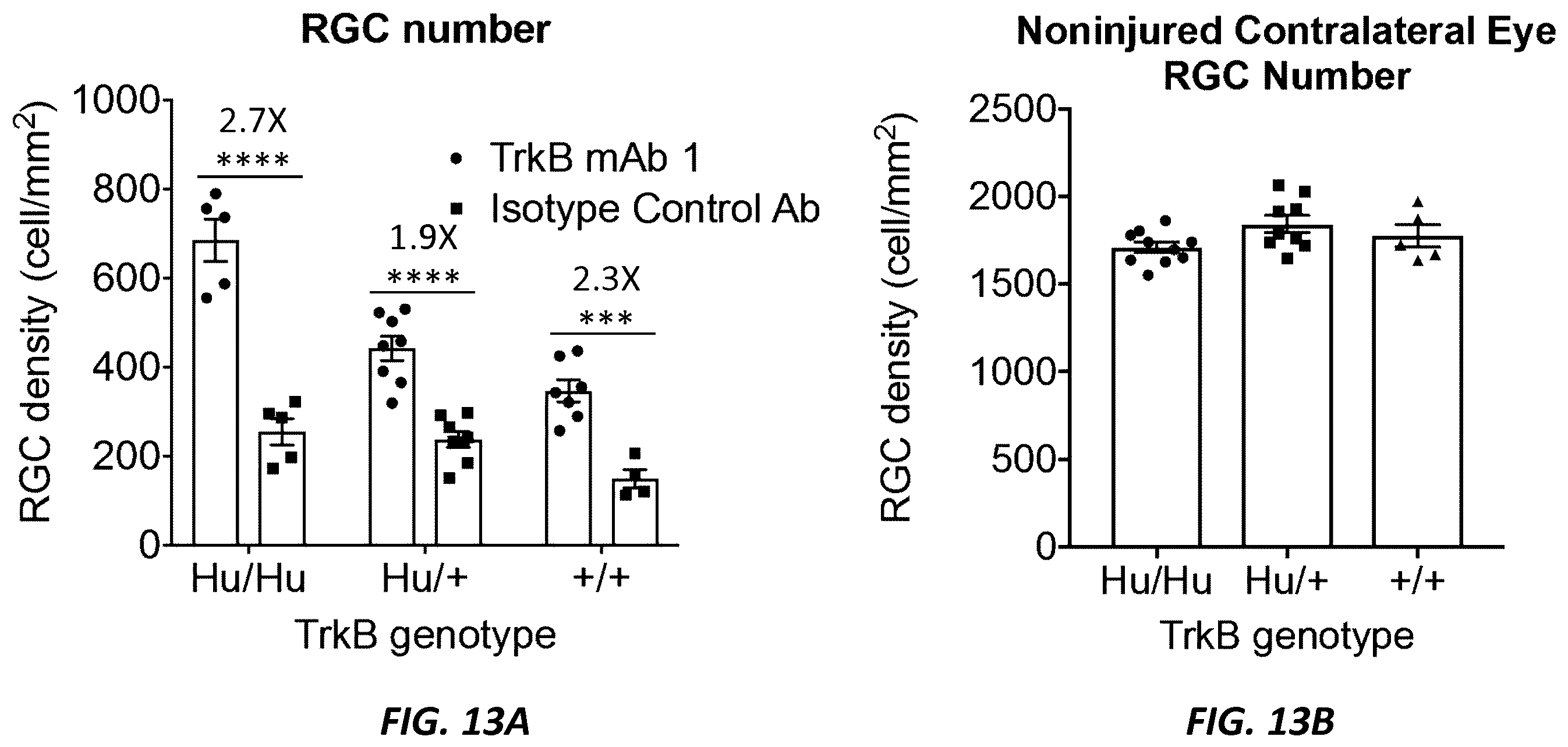 Patent US12396444 Figure 12 – Mouse comprising a humanized TRKB locus