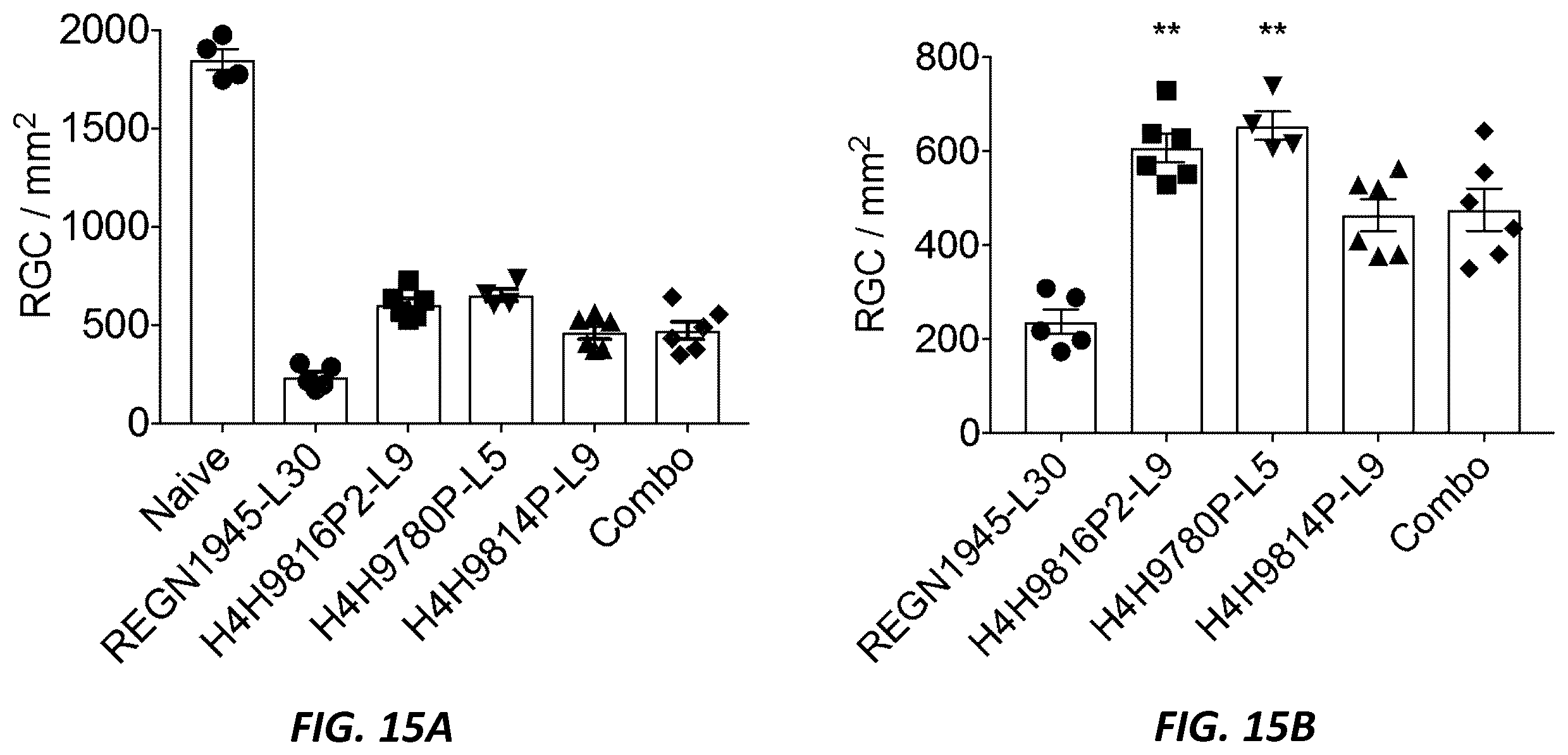 Patent US12396444 Figure 14 – Mouse comprising a humanized TRKB locus