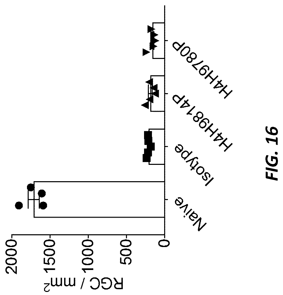 Patent US12396444 Figure 15 – Mouse comprising a humanized TRKB locus