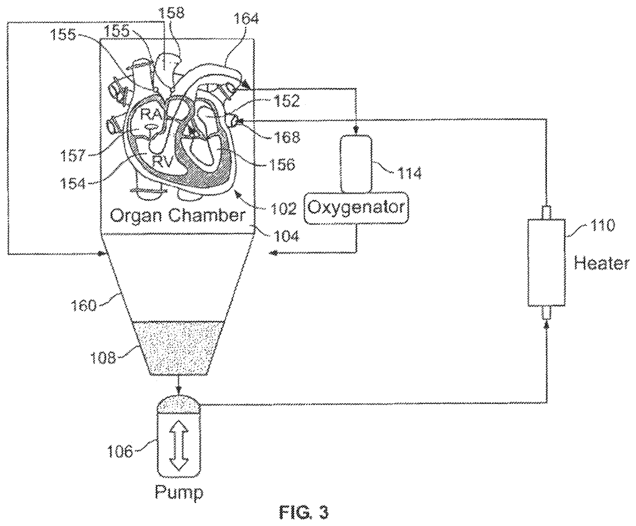 Patent US12396454 Figure 3 – Systems and methods for ex-vivo organ care and for using lactate as an indication of donor organ status