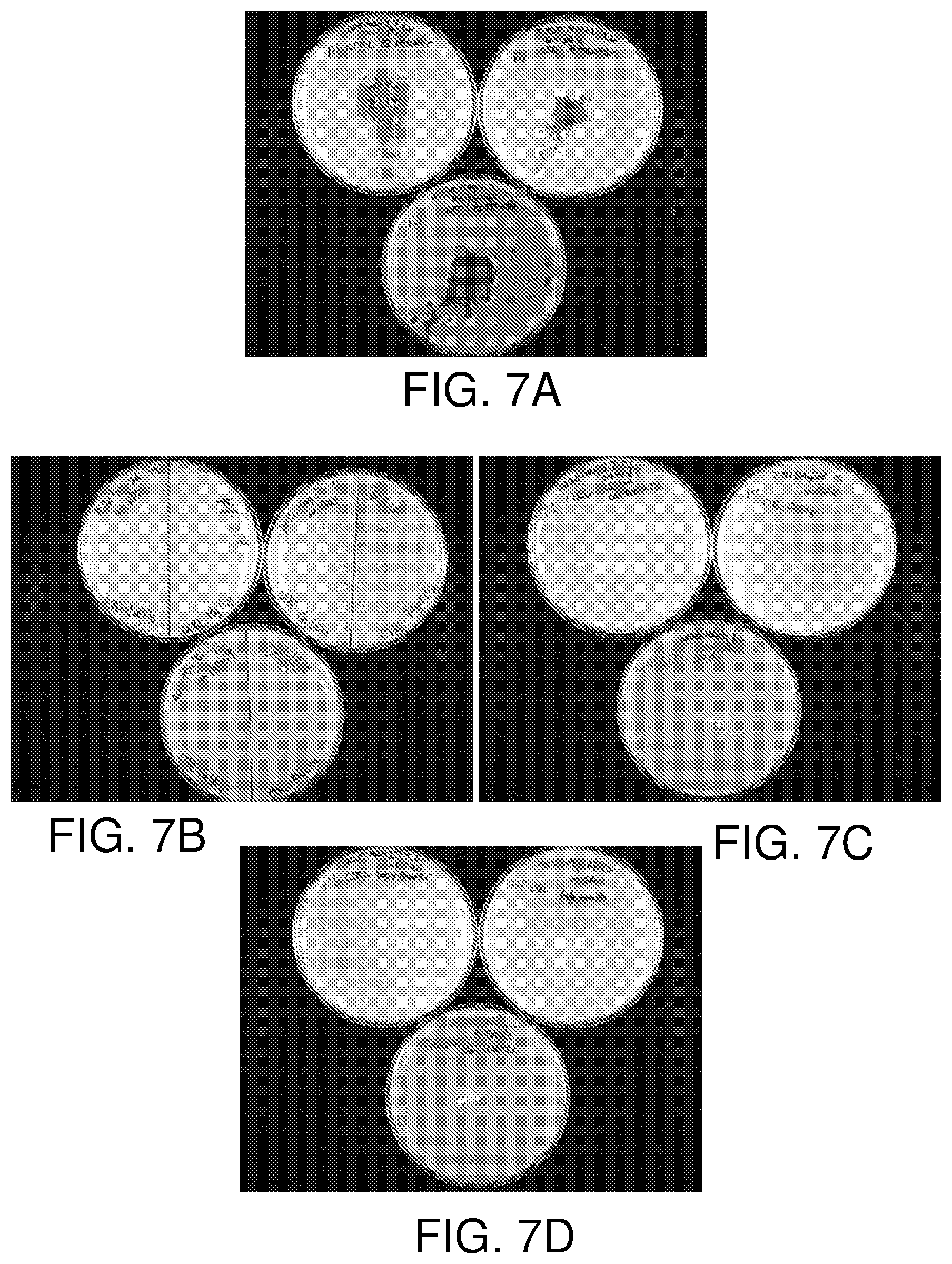 Patent US12396460 Figure 6 – Bacterial control through dispersion of bacteriophage powders