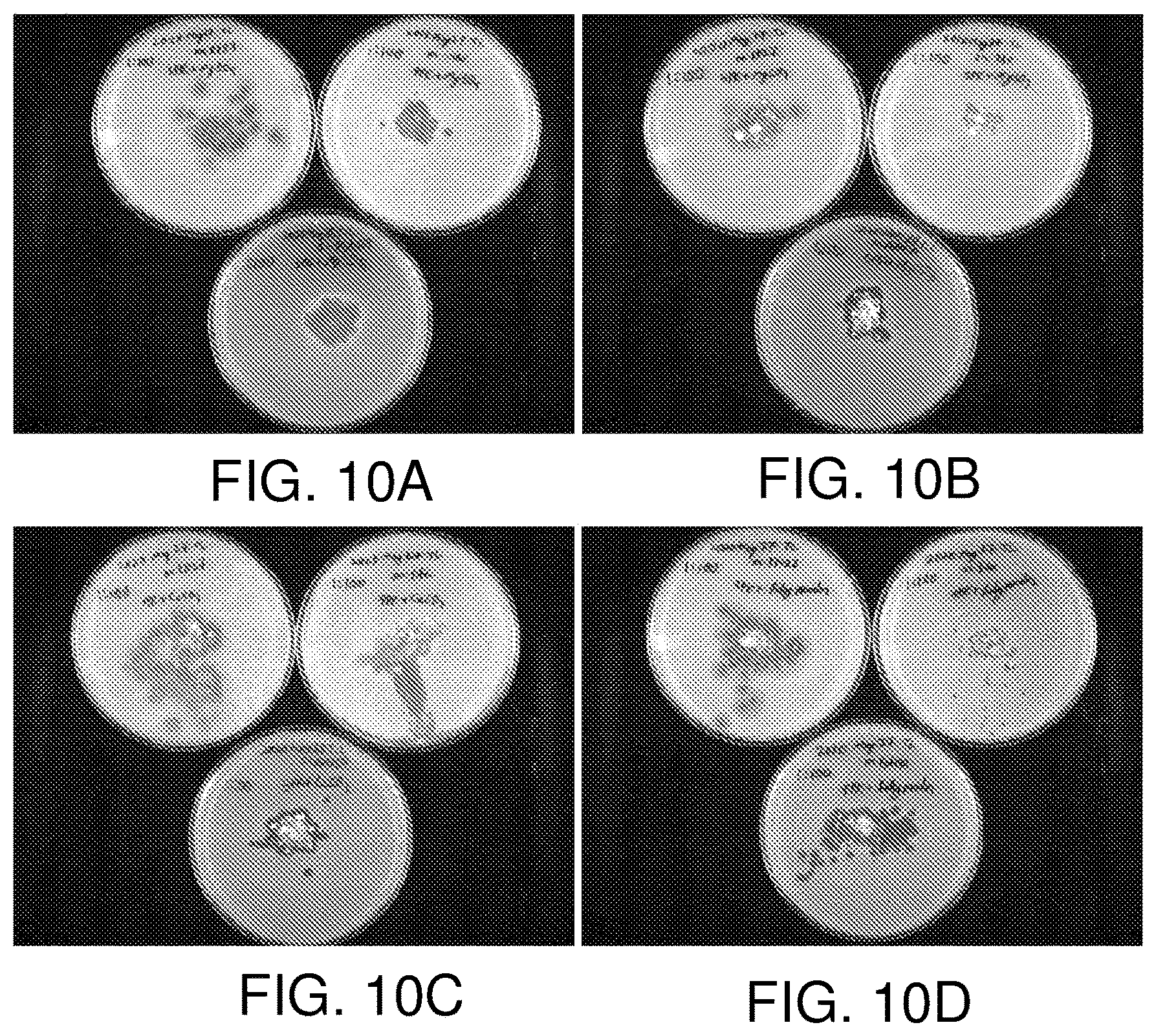 Patent US12396460 Figure 9 – Bacterial control through dispersion of bacteriophage powders