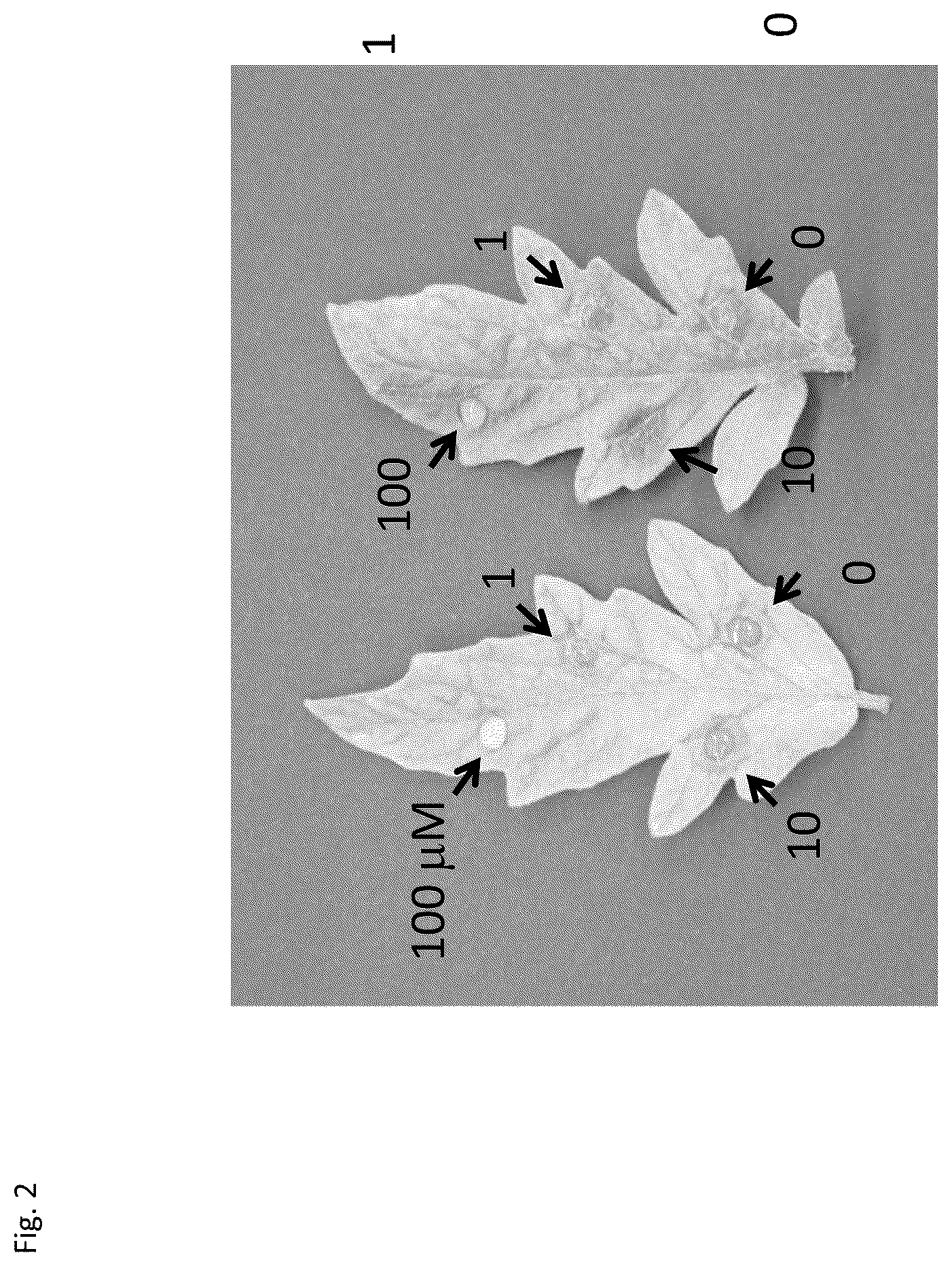 Patent US12396461 Figure 2 – Functional peptides having antimicrobial activity against phytopathogenic microorganisms