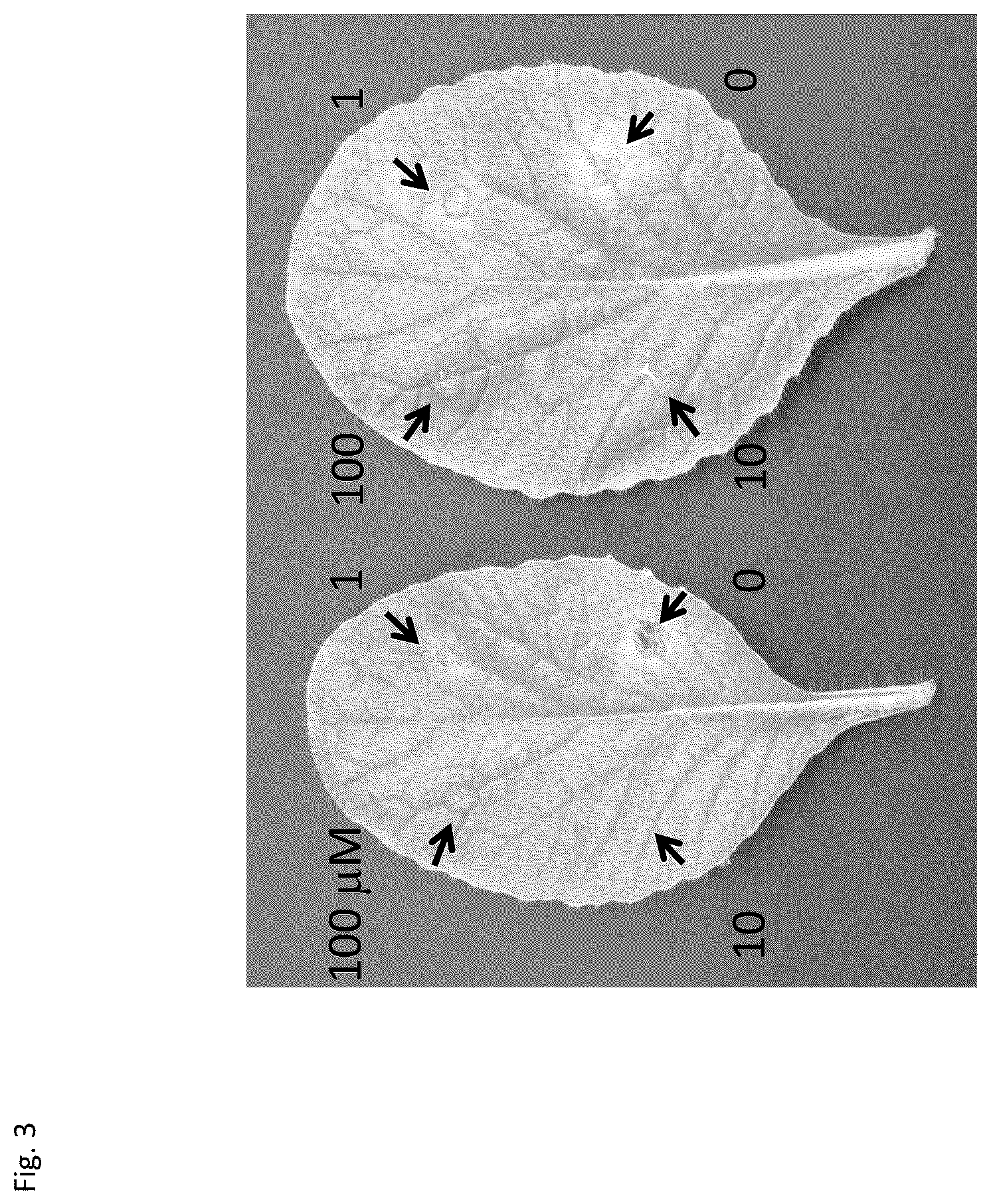 Patent US12396461 Figure 3 – Functional peptides having antimicrobial activity against phytopathogenic microorganisms