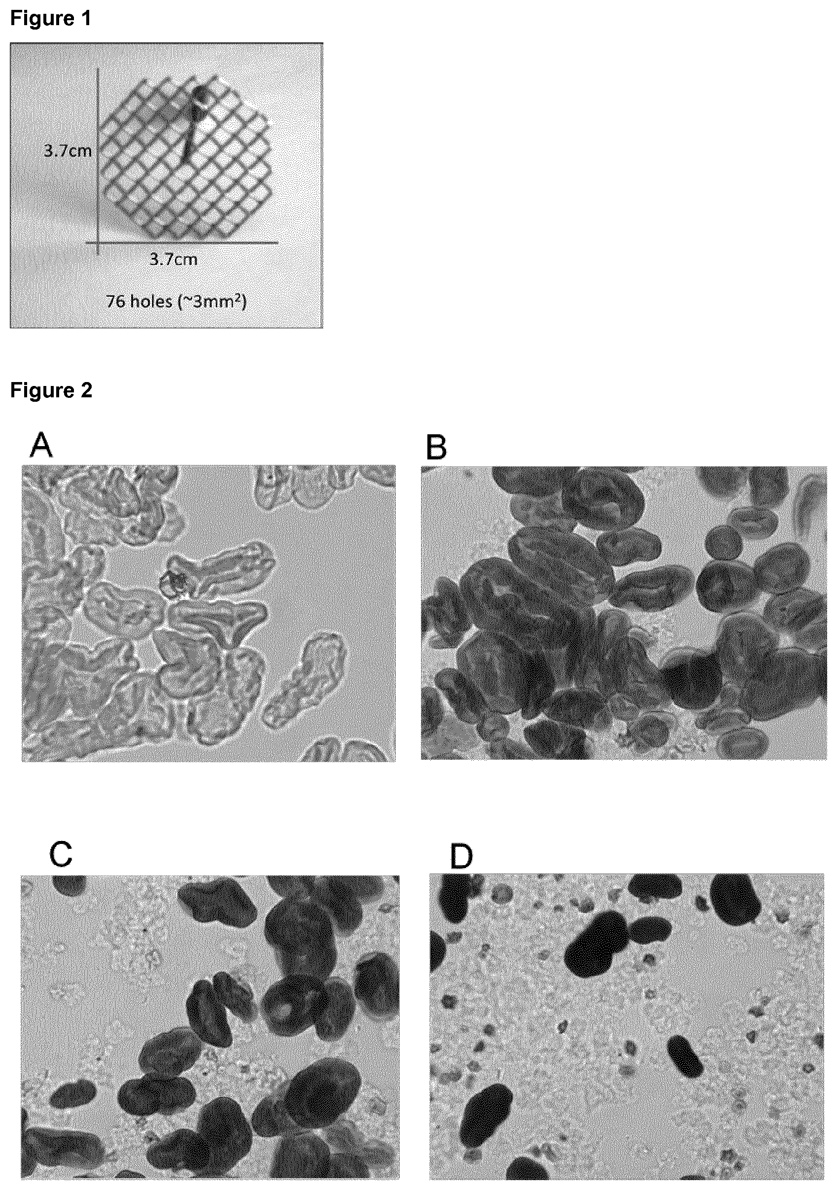 Patent US12396470 Figure 1 – Oil-in-water emulsion containing first flour and second flour high in amylopectin