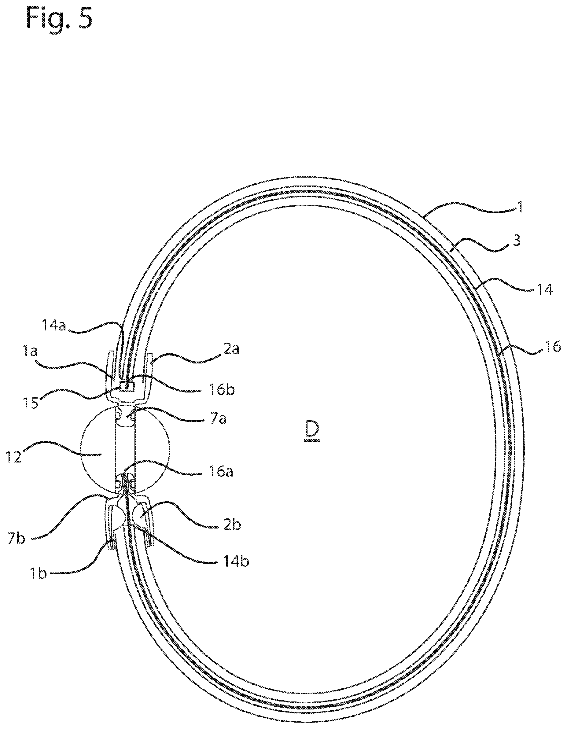 Patent US12396527 Figure 5 – Jewelry piece