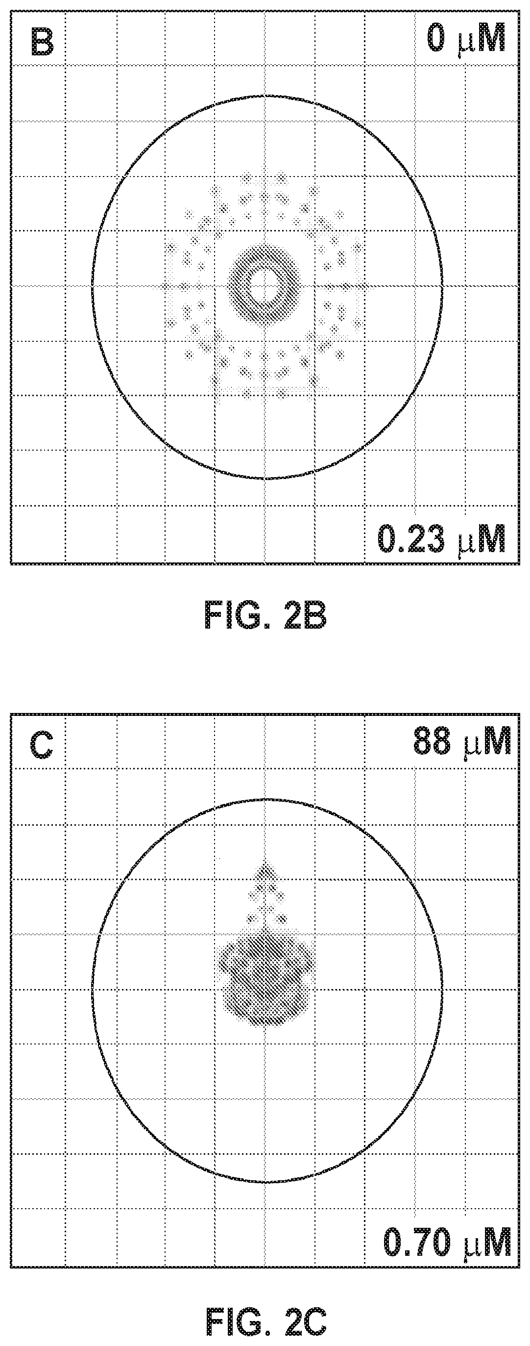 Patent US12396625 Figure 3 – Ultra-compact microsystems-based single axis confocal endomicroscope
