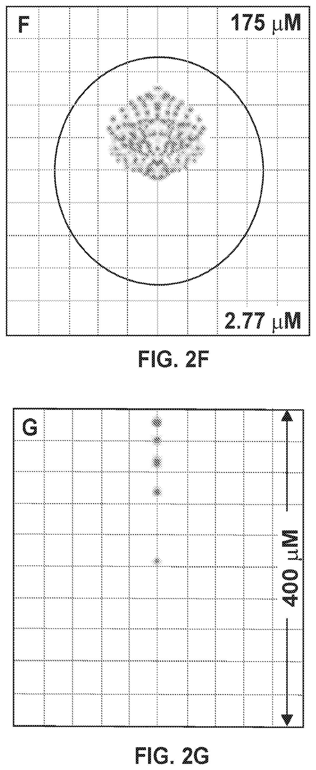 Patent US12396625 Figure 5 – Ultra-compact microsystems-based single axis confocal endomicroscope