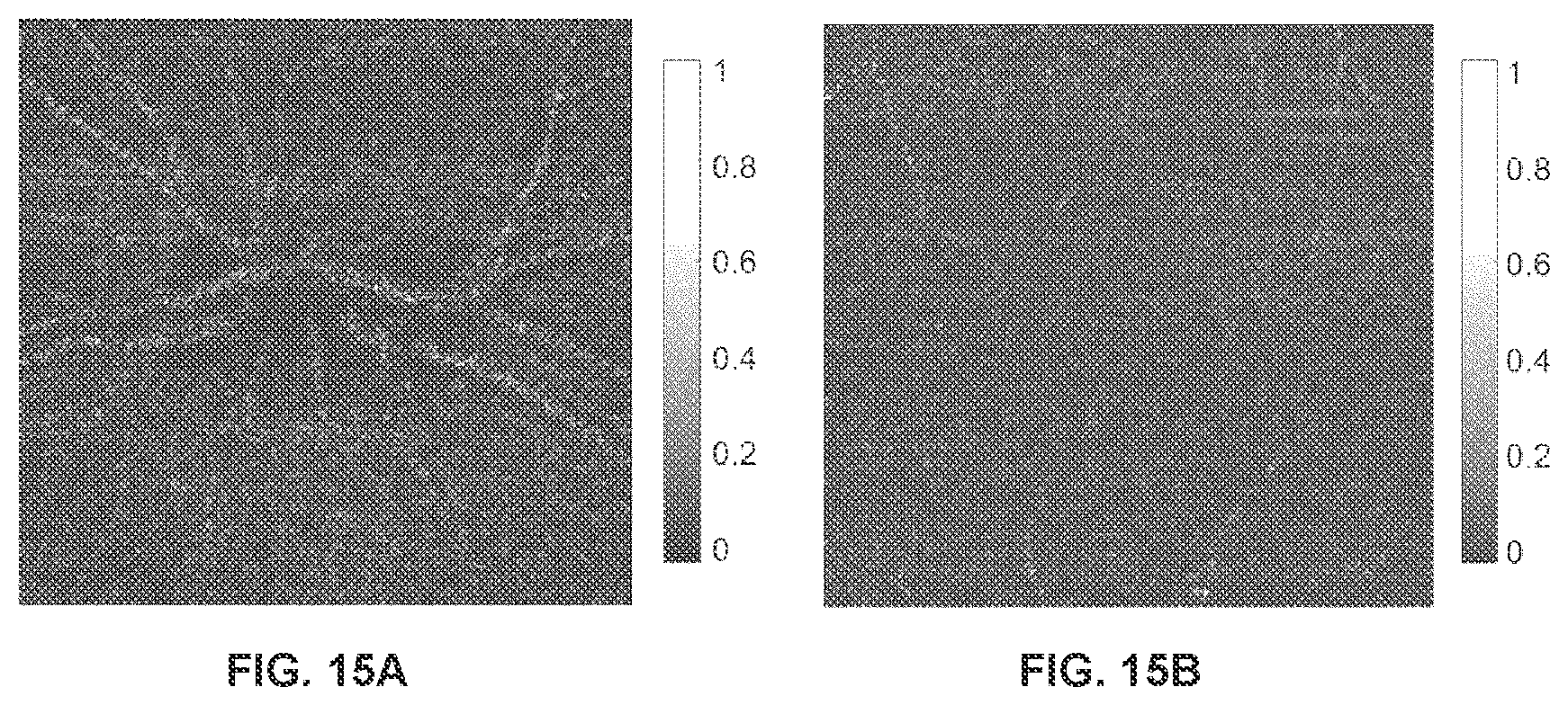Patent US12396643 Figure 14 – Systems and methods for performing Gabor optical coherence tomographic angiography