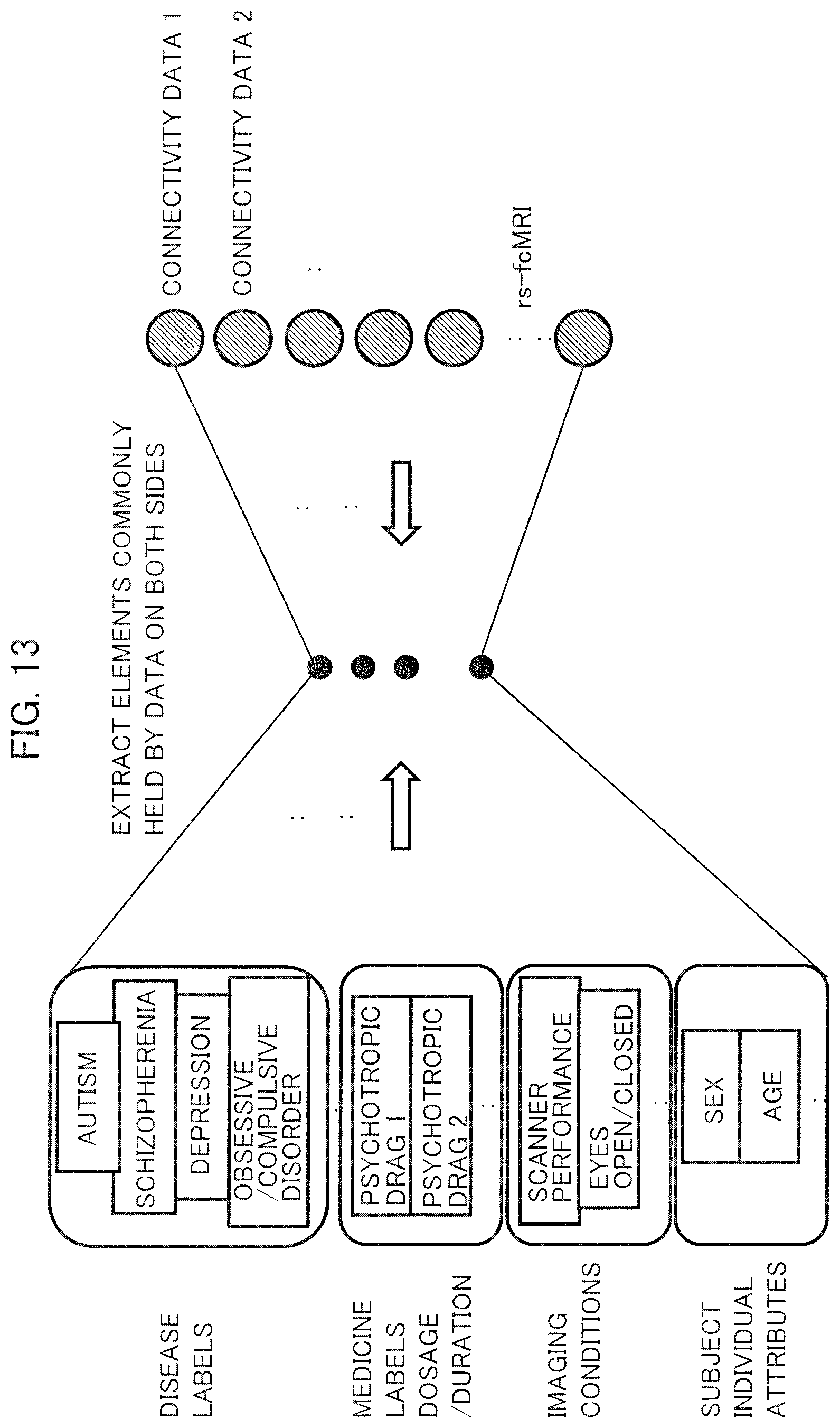 Patent US12396652 Figure 13 – Brain activity analyzing apparatus, brain activity analyzing method and biomarker apparatus