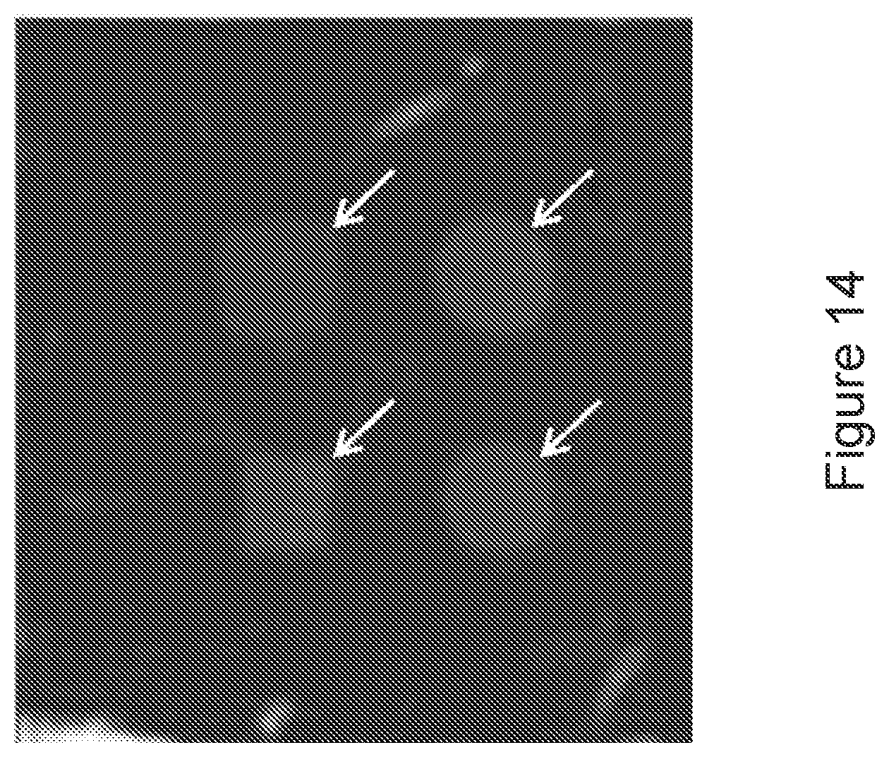 Patent US12396653 Figure 14 – MRI-based feedback control of ultrasound based mechanical fractionation of biological tissue