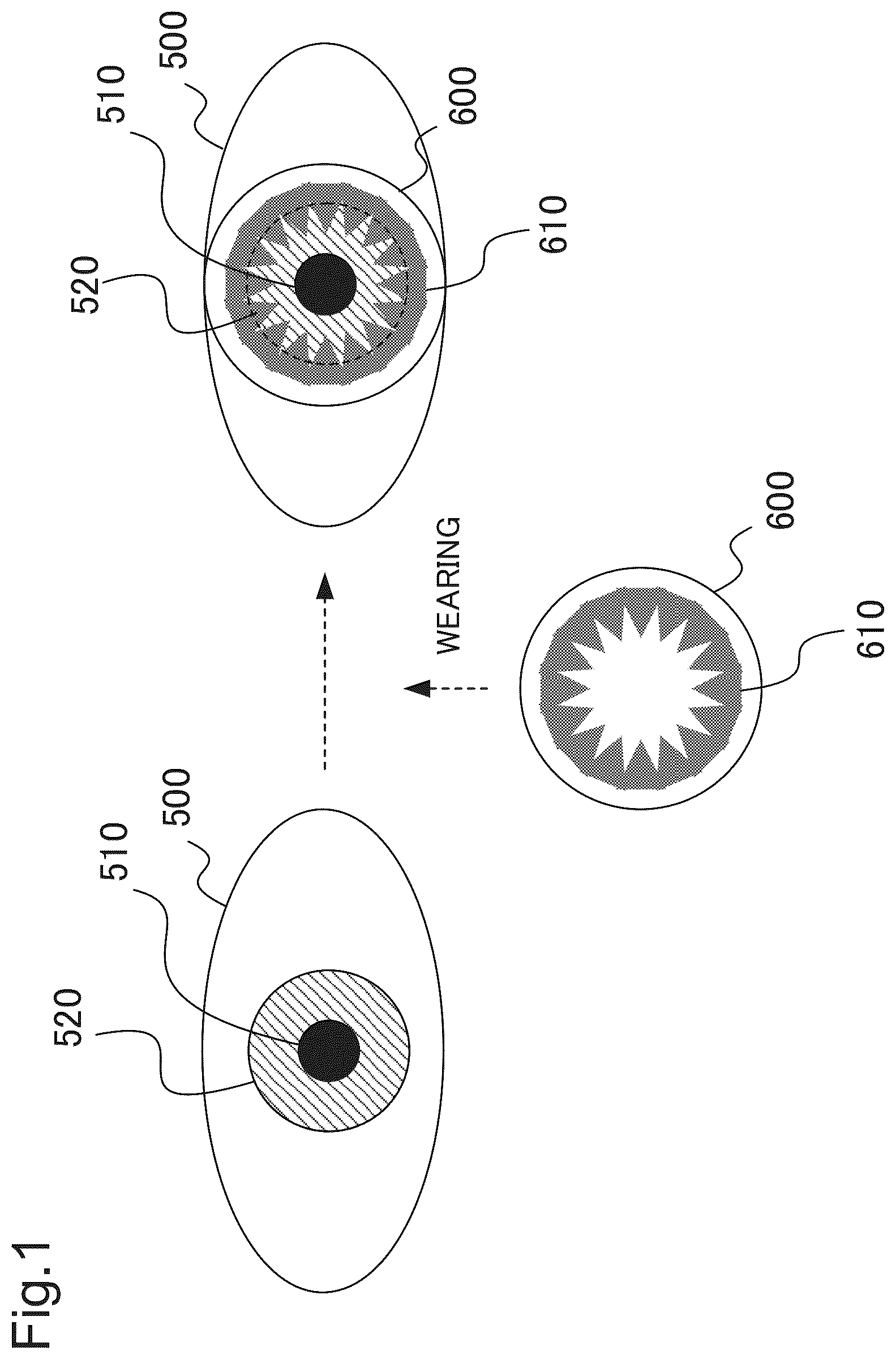 Patent US12396660 Figure 1 – Authentication device, authentication method, and recording medium