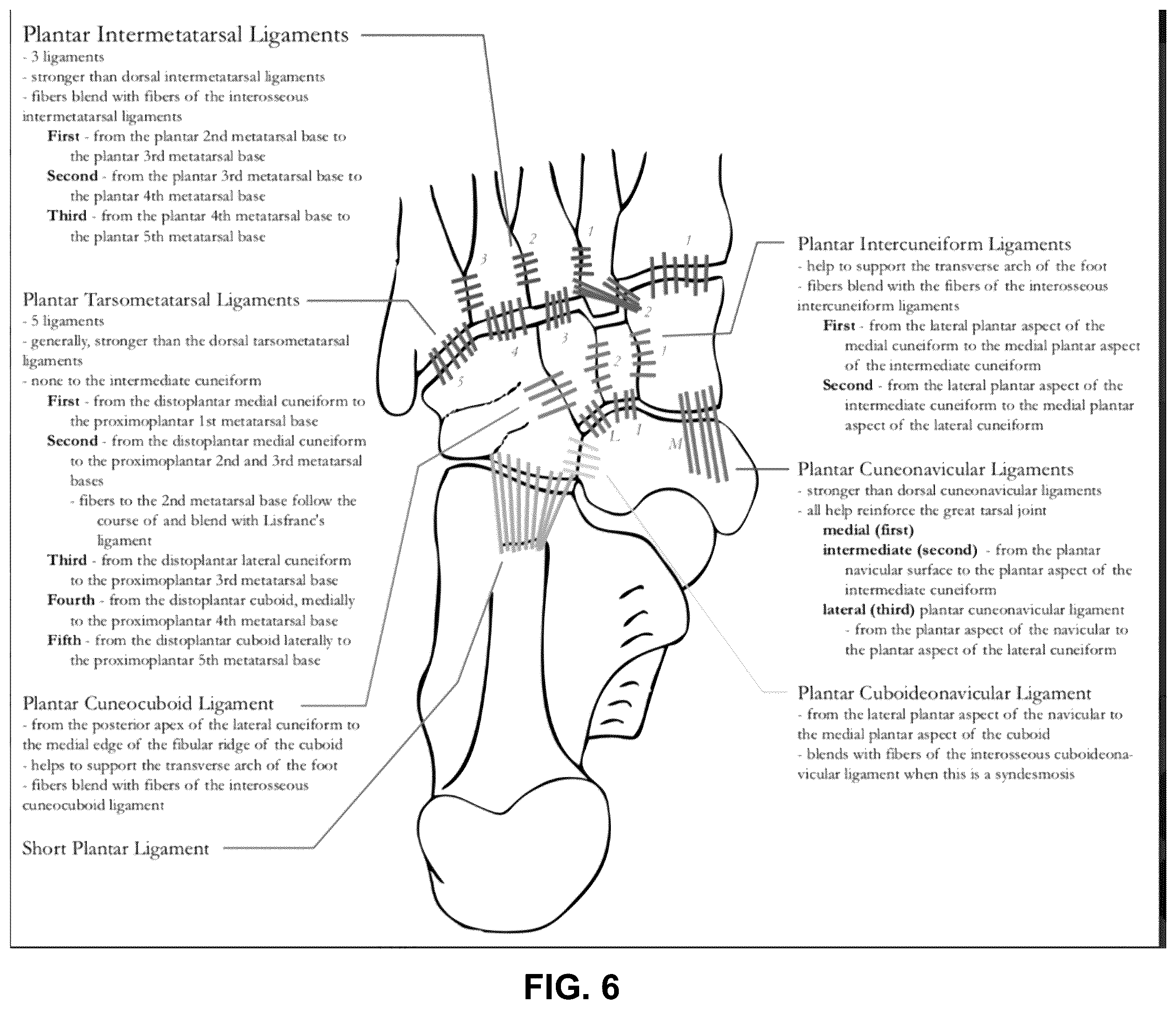 Patent US12396770 Figure 11 – Devices and techniques for treating metatarsus adductus