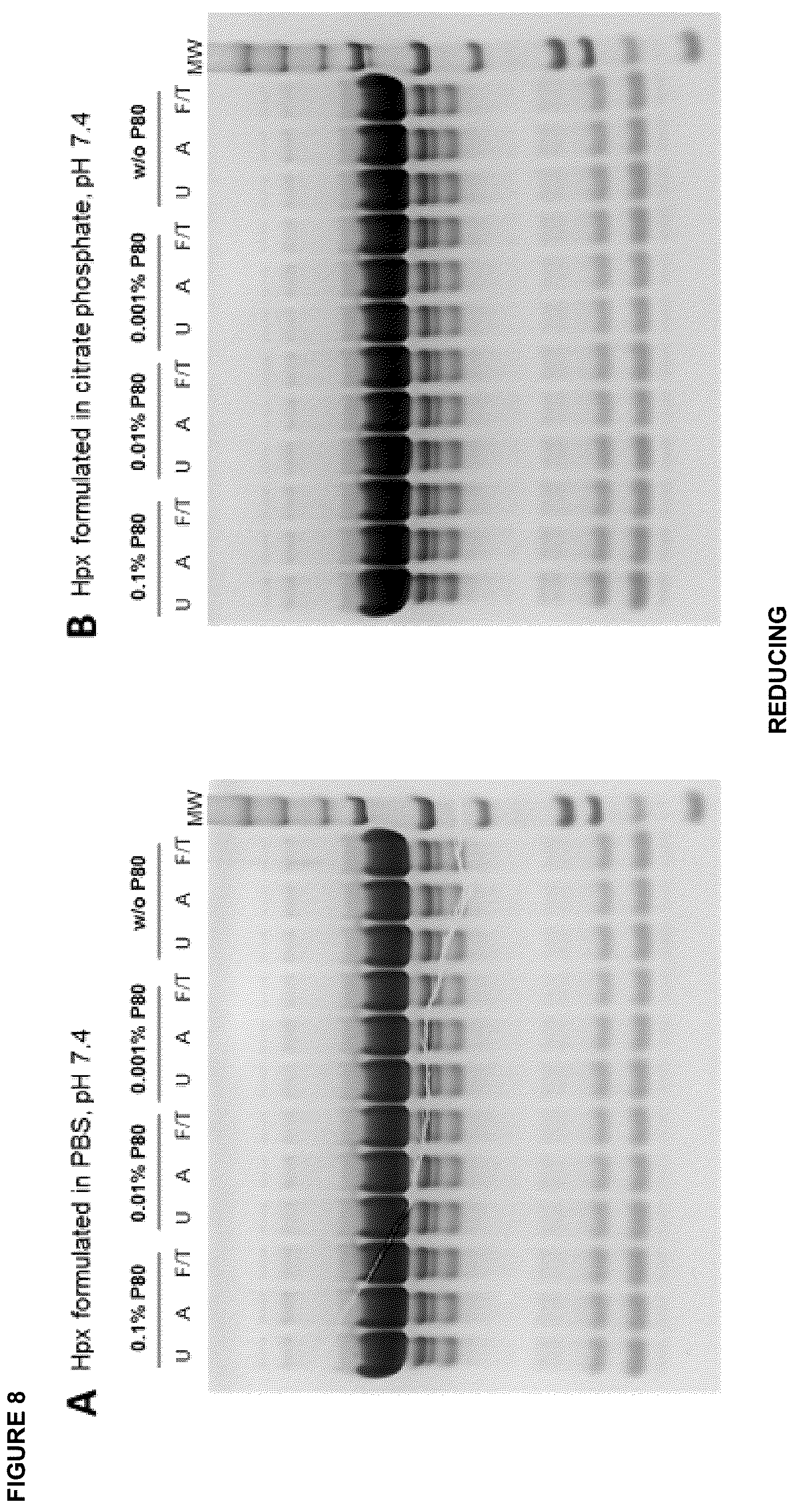Patent US12396943 Figure 11 – Hemopexin formulations