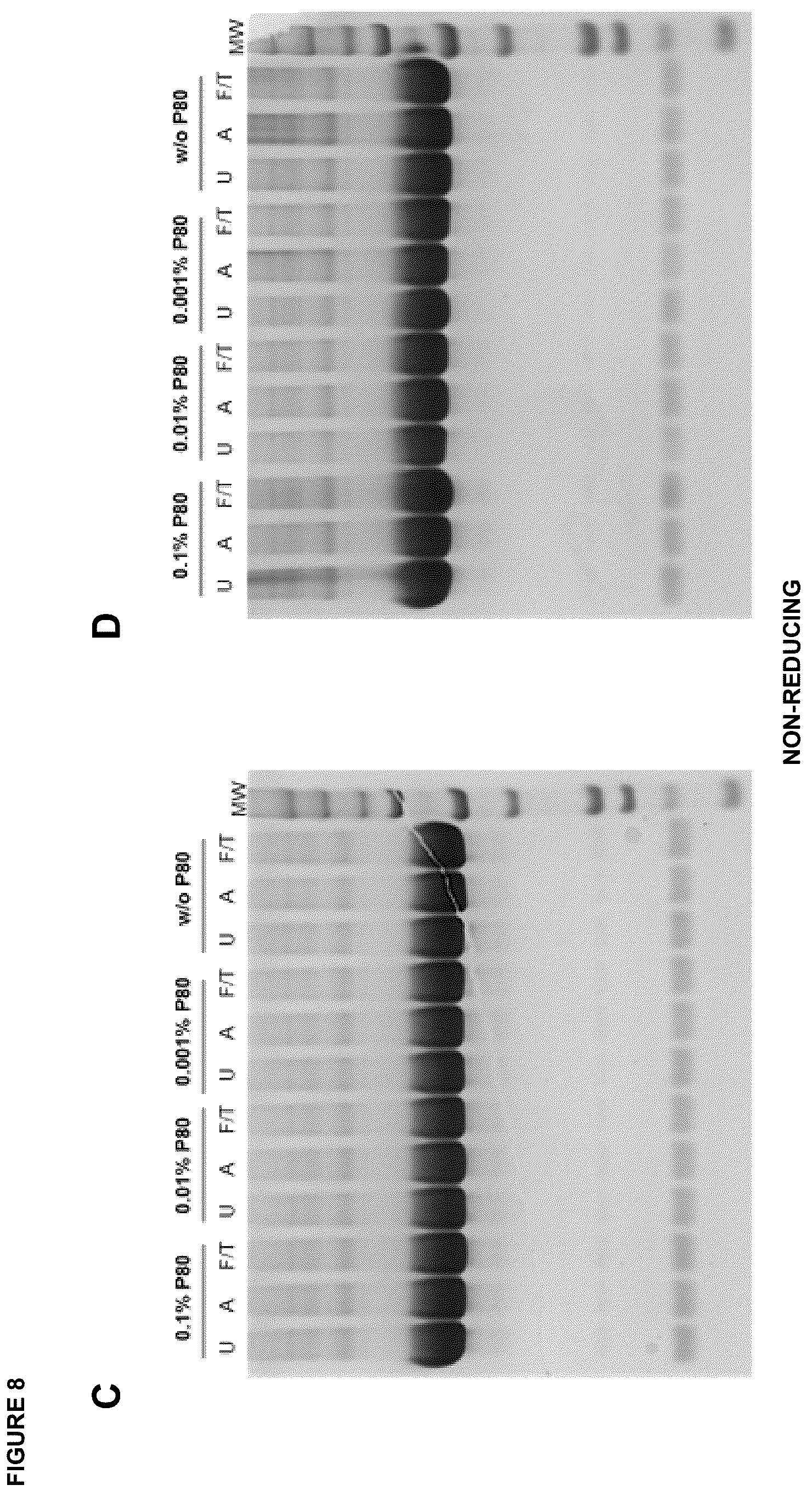 Patent US12396943 Figure 12 – Hemopexin formulations