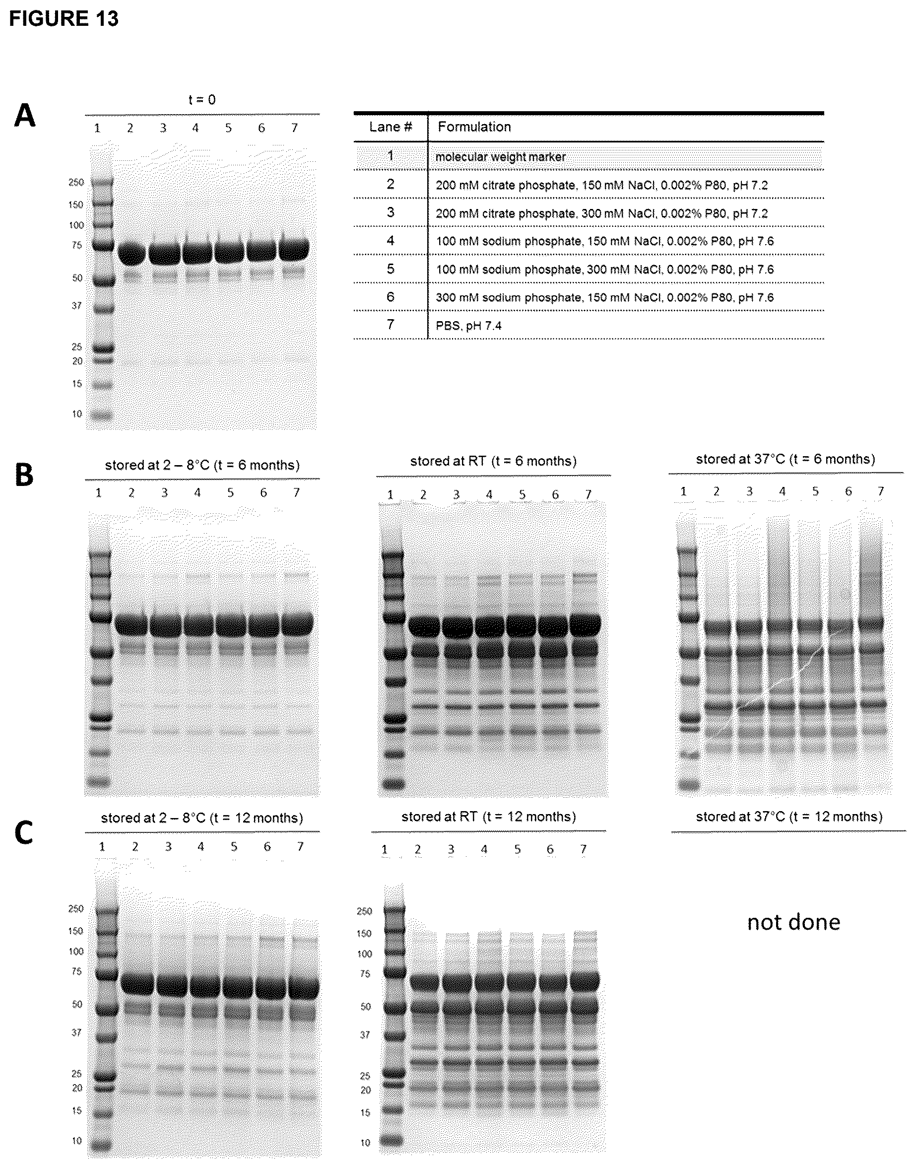 Patent US12396943 Figure 19 – Hemopexin formulations