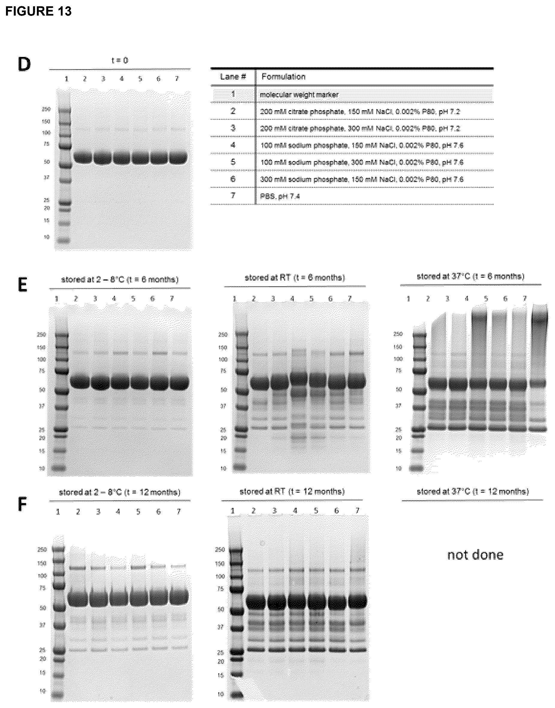 Patent US12396943 Figure 20 – Hemopexin formulations
