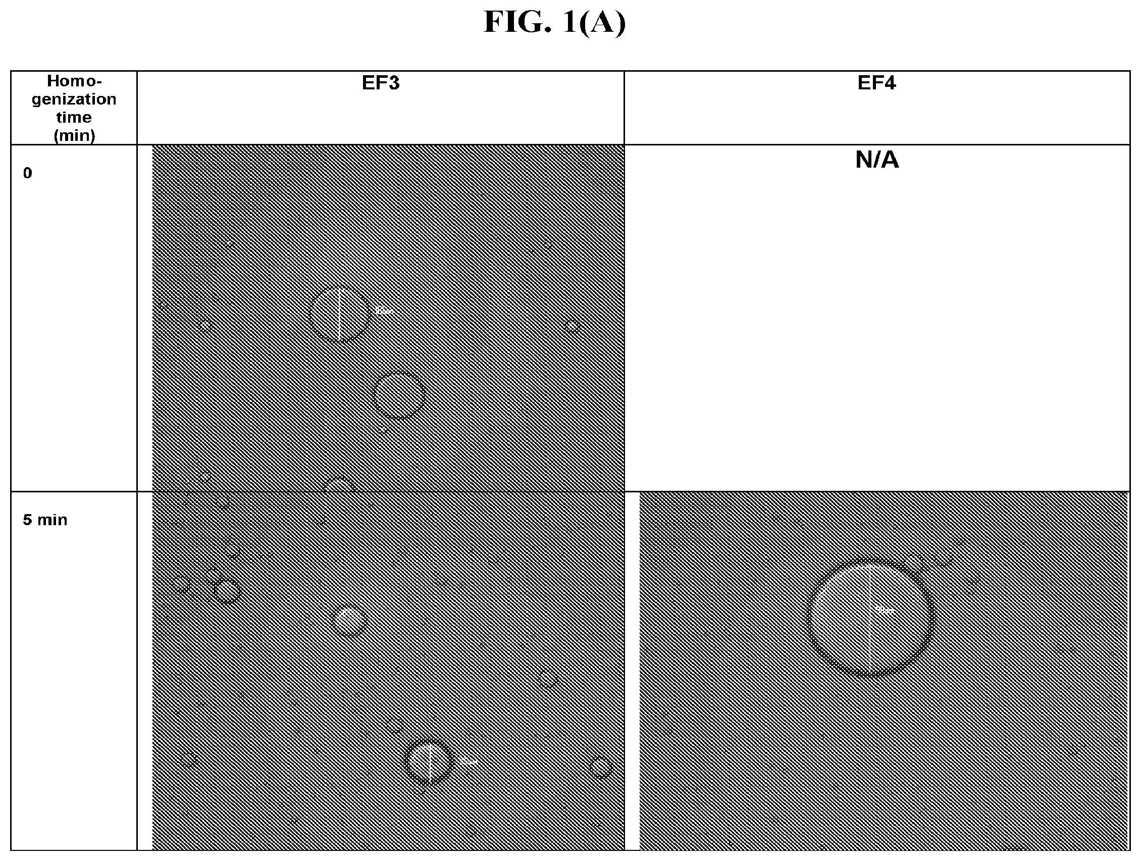 Patent US12396948 Figure 1 – Pharmaceutical compositions for the treatment of ophthalmic conditions