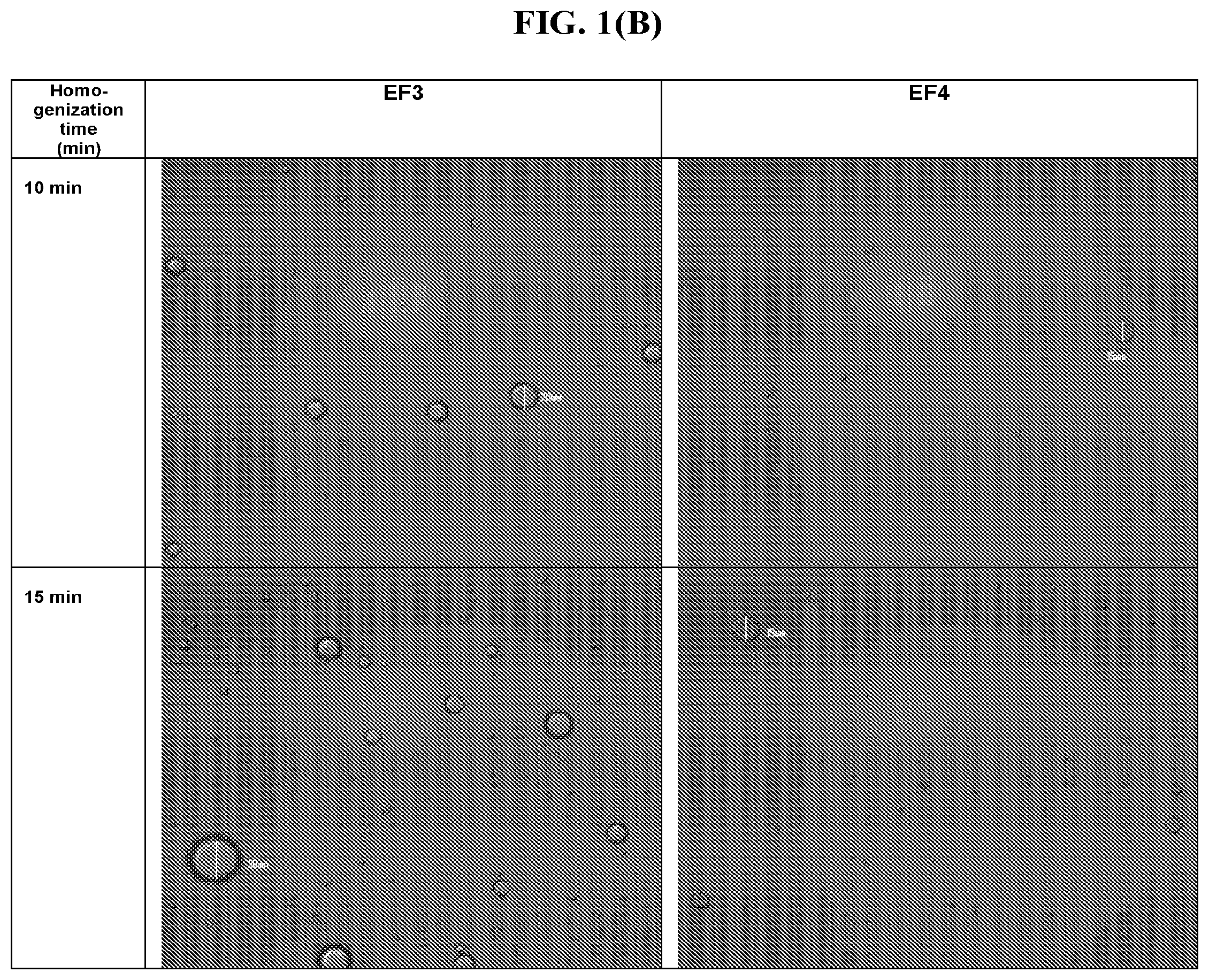 Patent US12396948 Figure 2 – Pharmaceutical compositions for the treatment of ophthalmic conditions