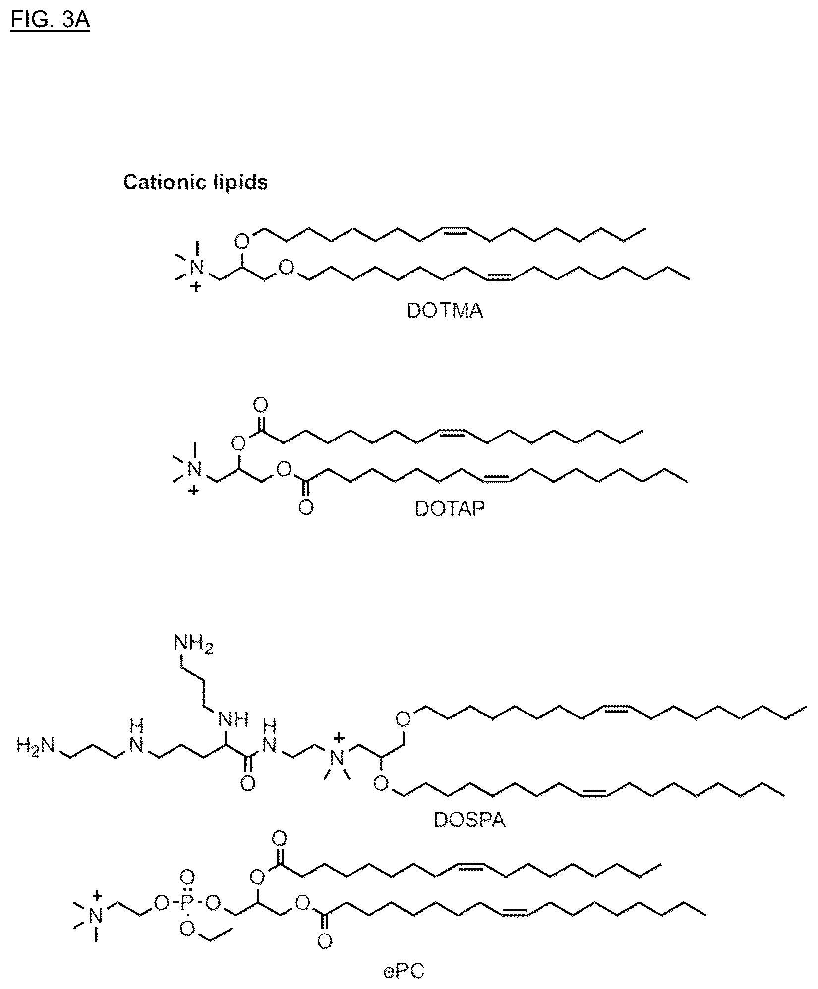 Patent US12396949 Figure 3 – Technology for improving properties of lipid nanoparticles using lipids in which cis-unsaturated bonds are substituted with a silicon atom