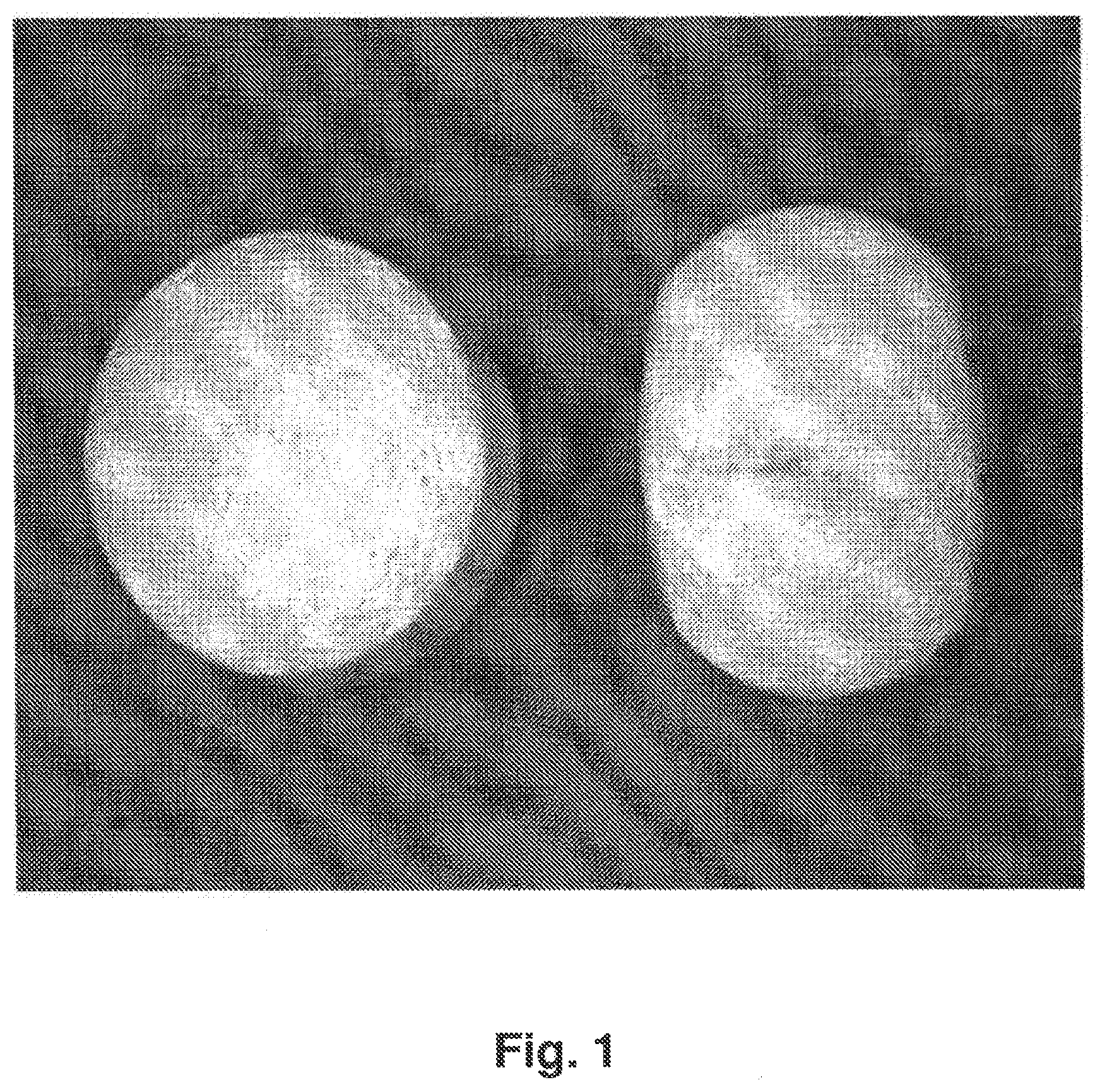 Patent US12396955 Figure 1 – Tamper resistant dosage forms
