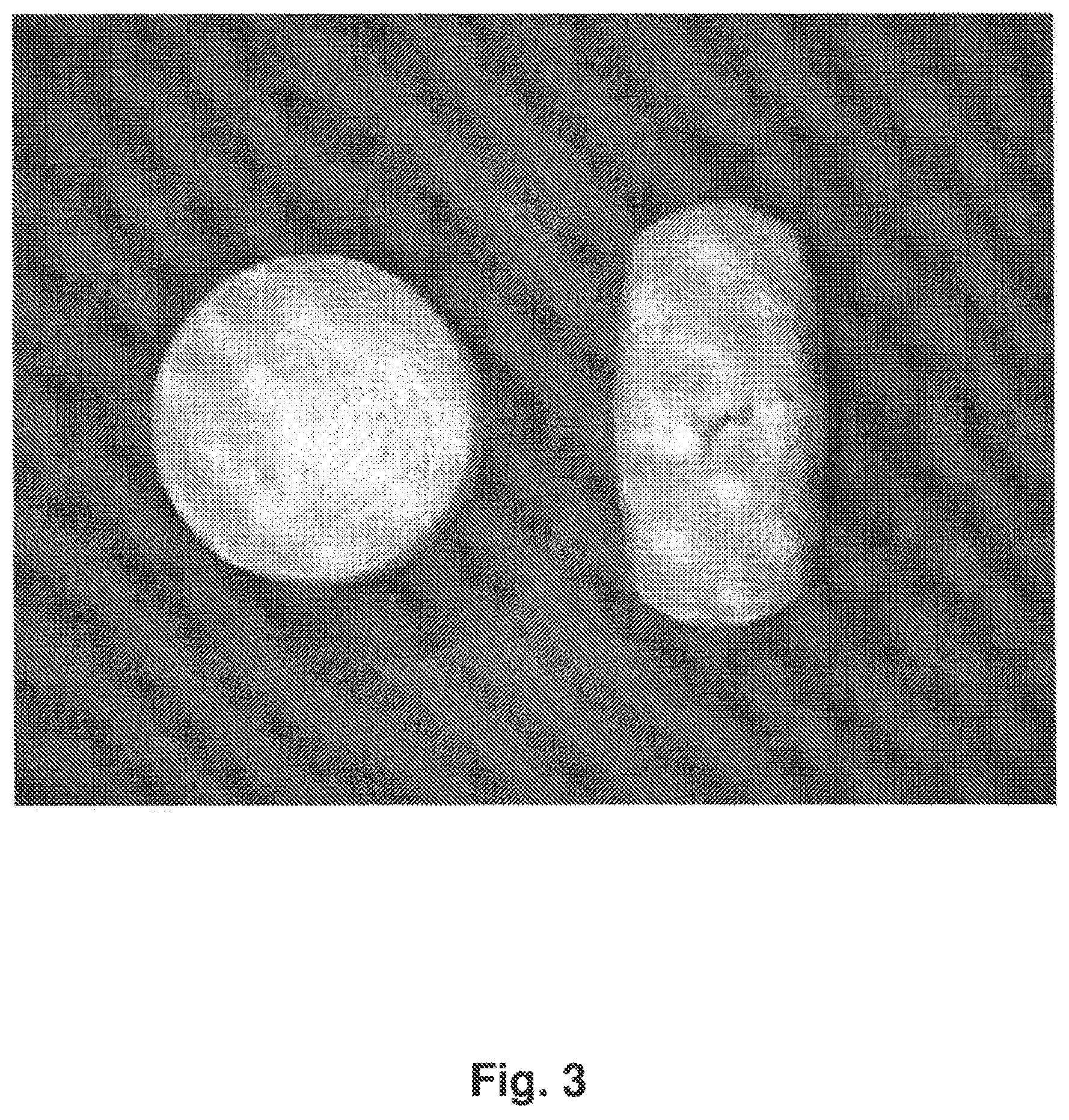 Patent US12396955 Figure 3 – Tamper resistant dosage forms