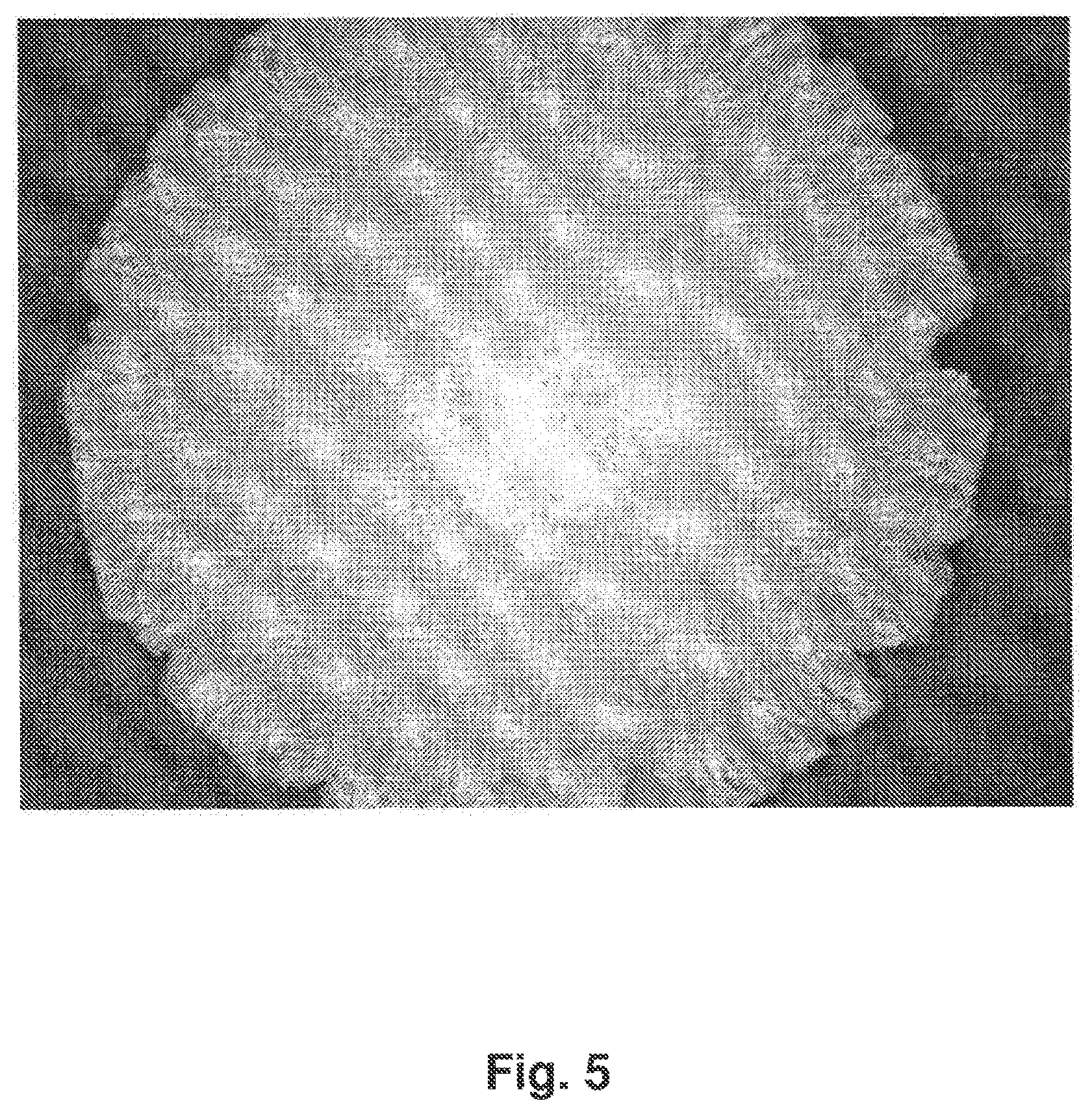 Patent US12396955 Figure 5 – Tamper resistant dosage forms