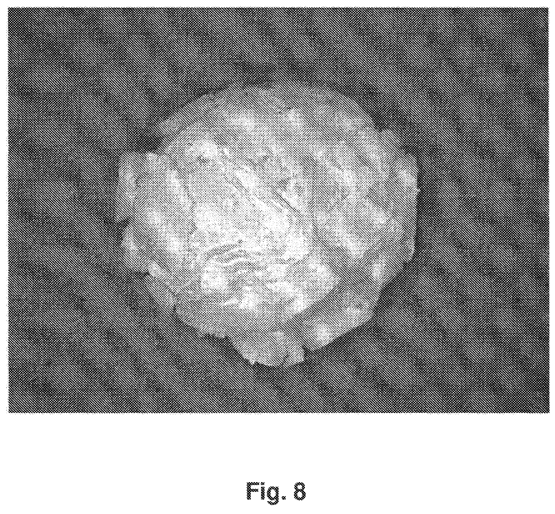 Patent US12396955 Figure 8 – Tamper resistant dosage forms