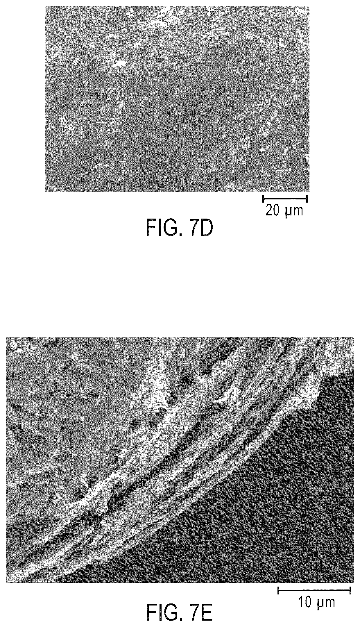 Patent US12396956 Figure 12 – Modified release compositions of a gamma-hydroxybutyric acid derivative