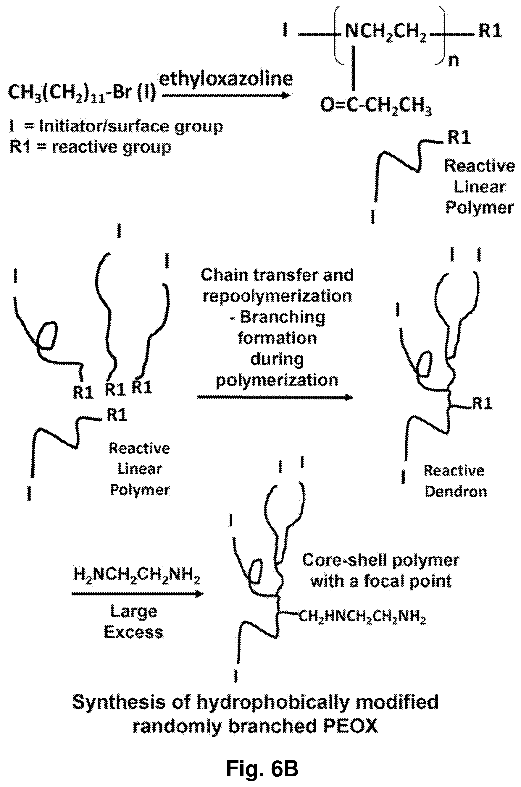 Patent US12396962 Figure 7 – Nanoparticles containing a taxane and their use