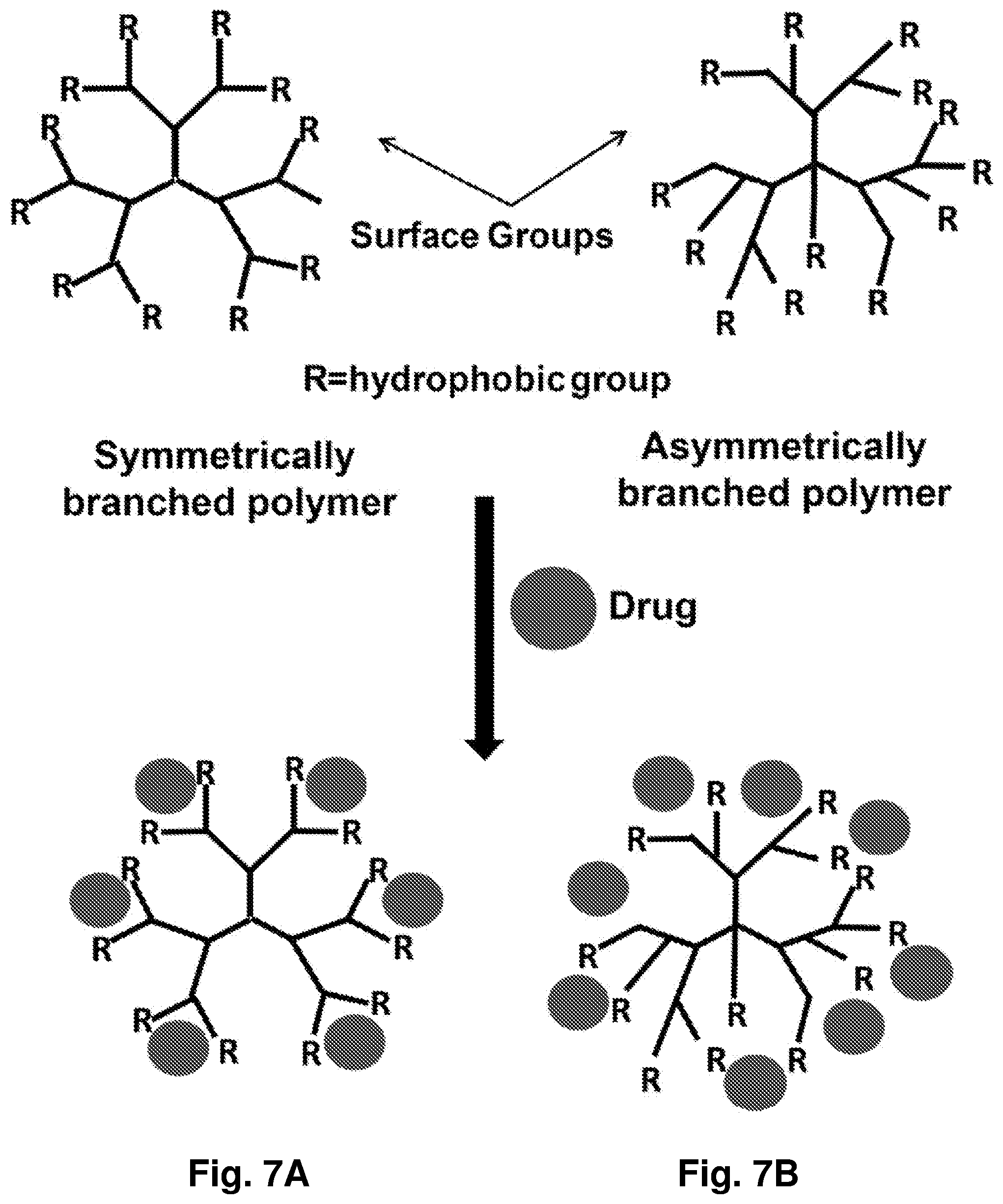 Patent US12396962 Figure 8 – Nanoparticles containing a taxane and their use