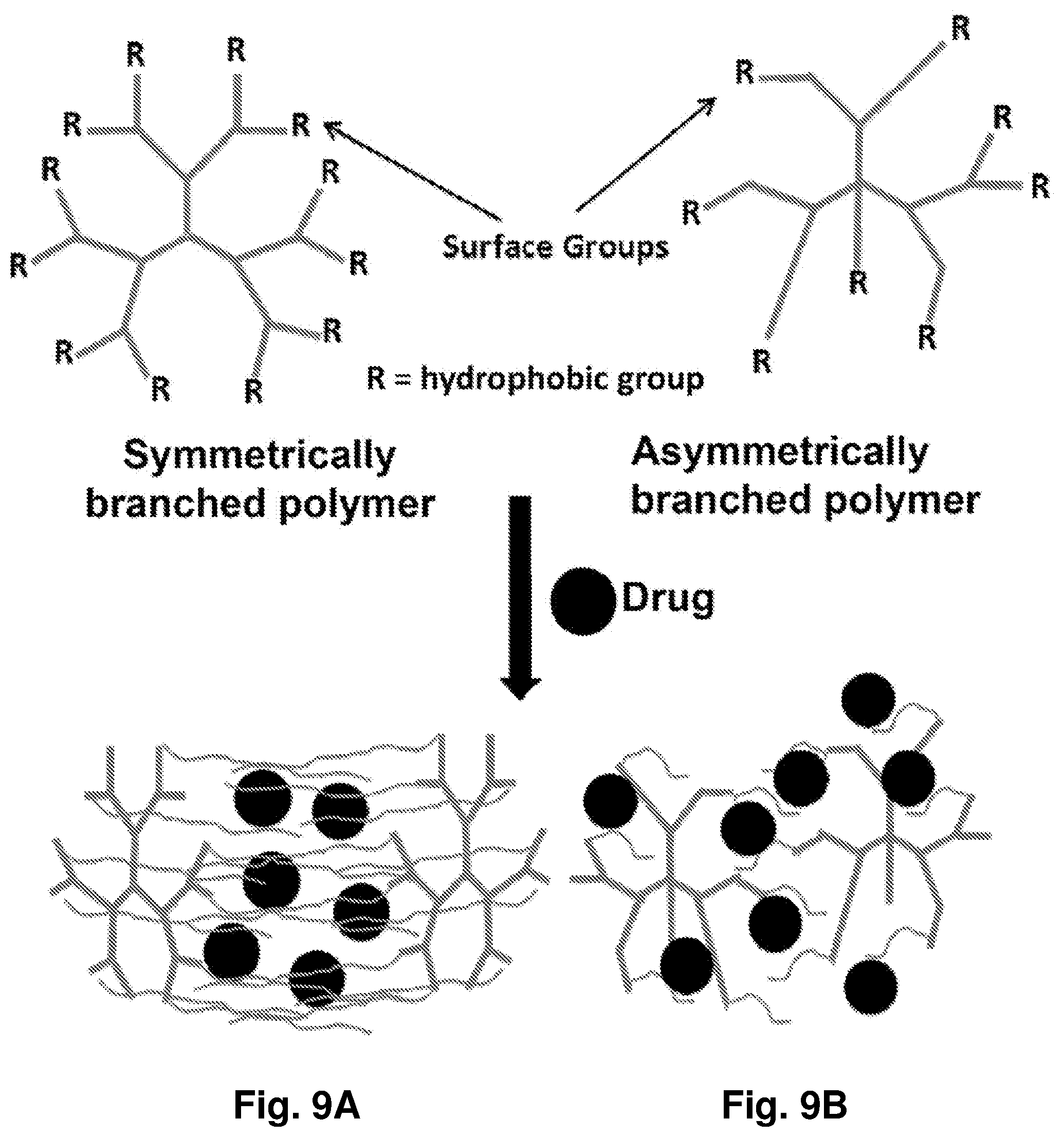 Patent US12396962 Figure 10 – Nanoparticles containing a taxane and their use