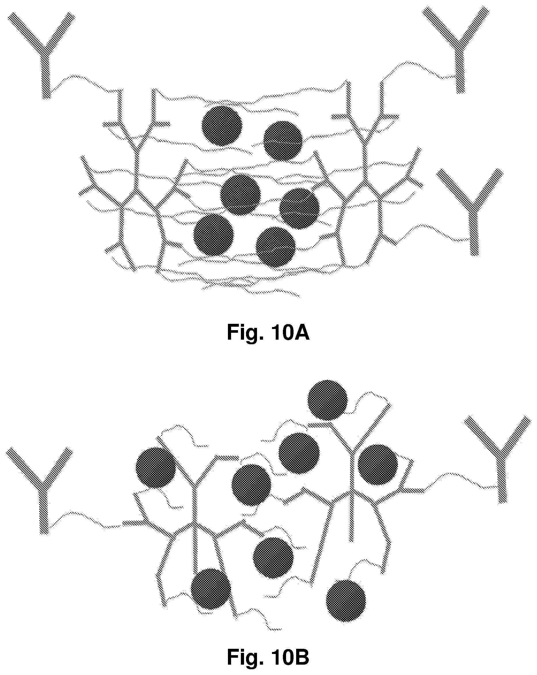Patent US12396962 Figure 11 – Nanoparticles containing a taxane and their use