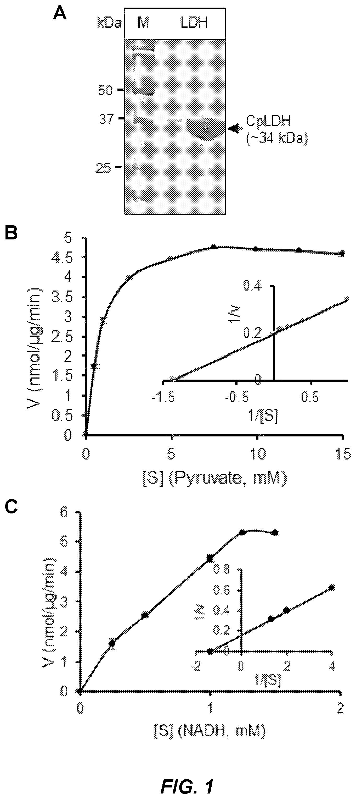 Patent US12396969 Figure 1 – Compounds and methods for the treatment of parasitic infections