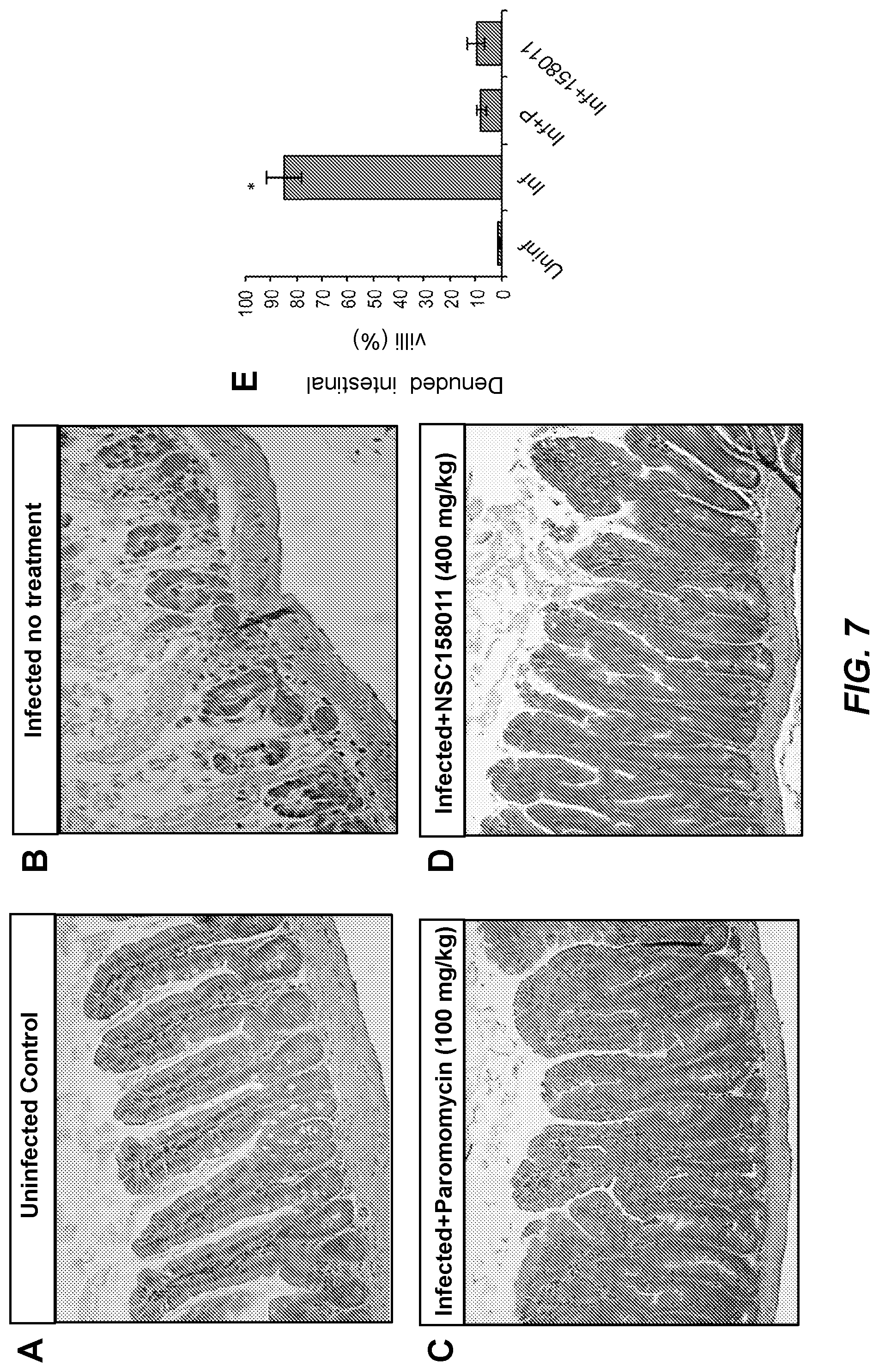 Patent US12396969 Figure 8 – Compounds and methods for the treatment of parasitic infections