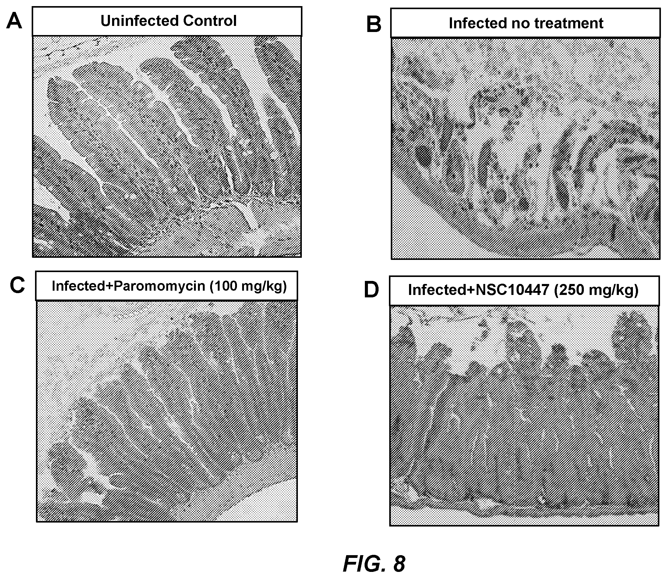 Patent US12396969 Figure 9 – Compounds and methods for the treatment of parasitic infections
