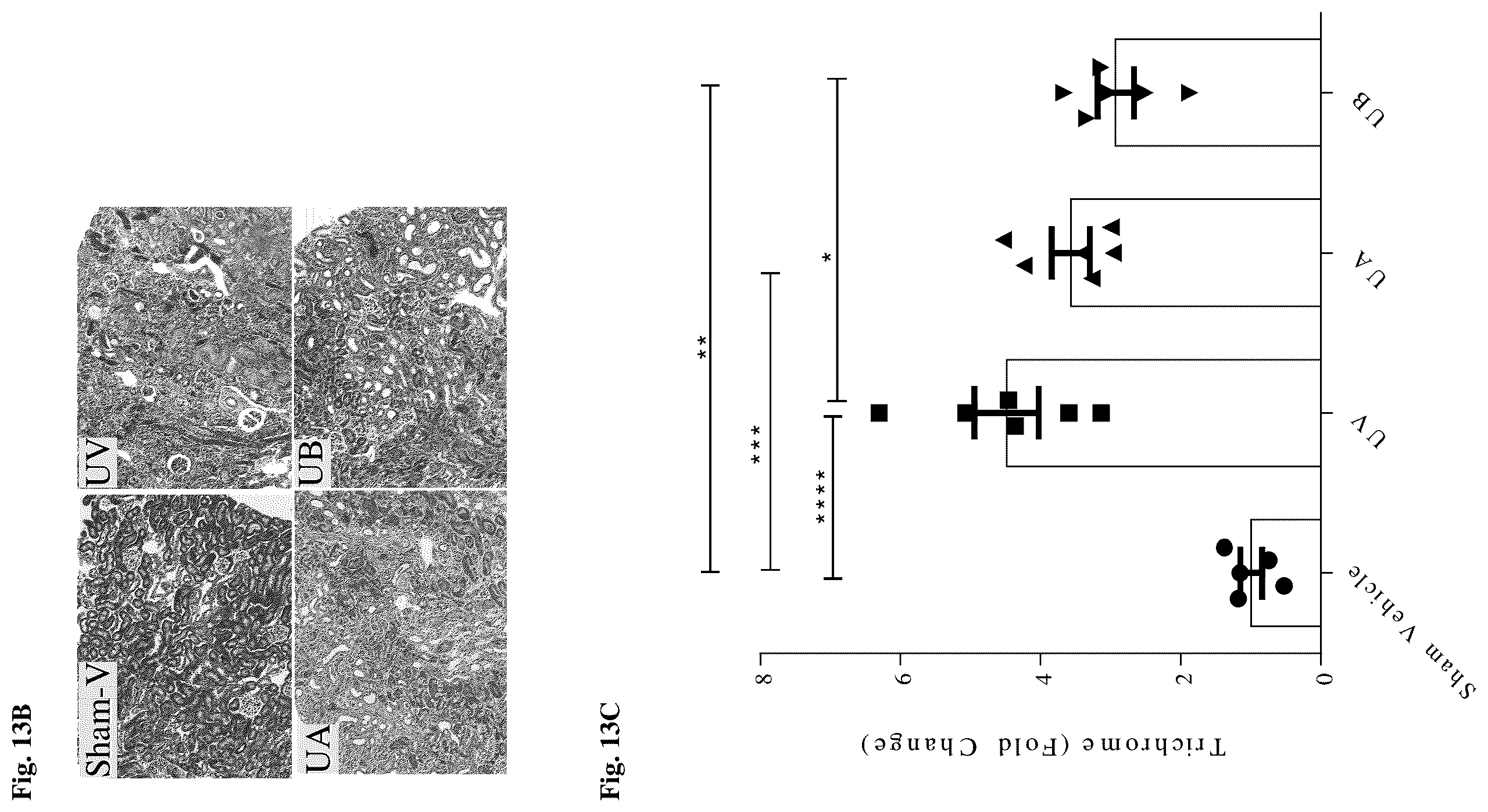 Patent US12396972 Figure 18 – Functionalized long-chain hydrocarbon mono- and di-carboxylic acids and derivatives thereof, and their use for the prevention or treatment of disease