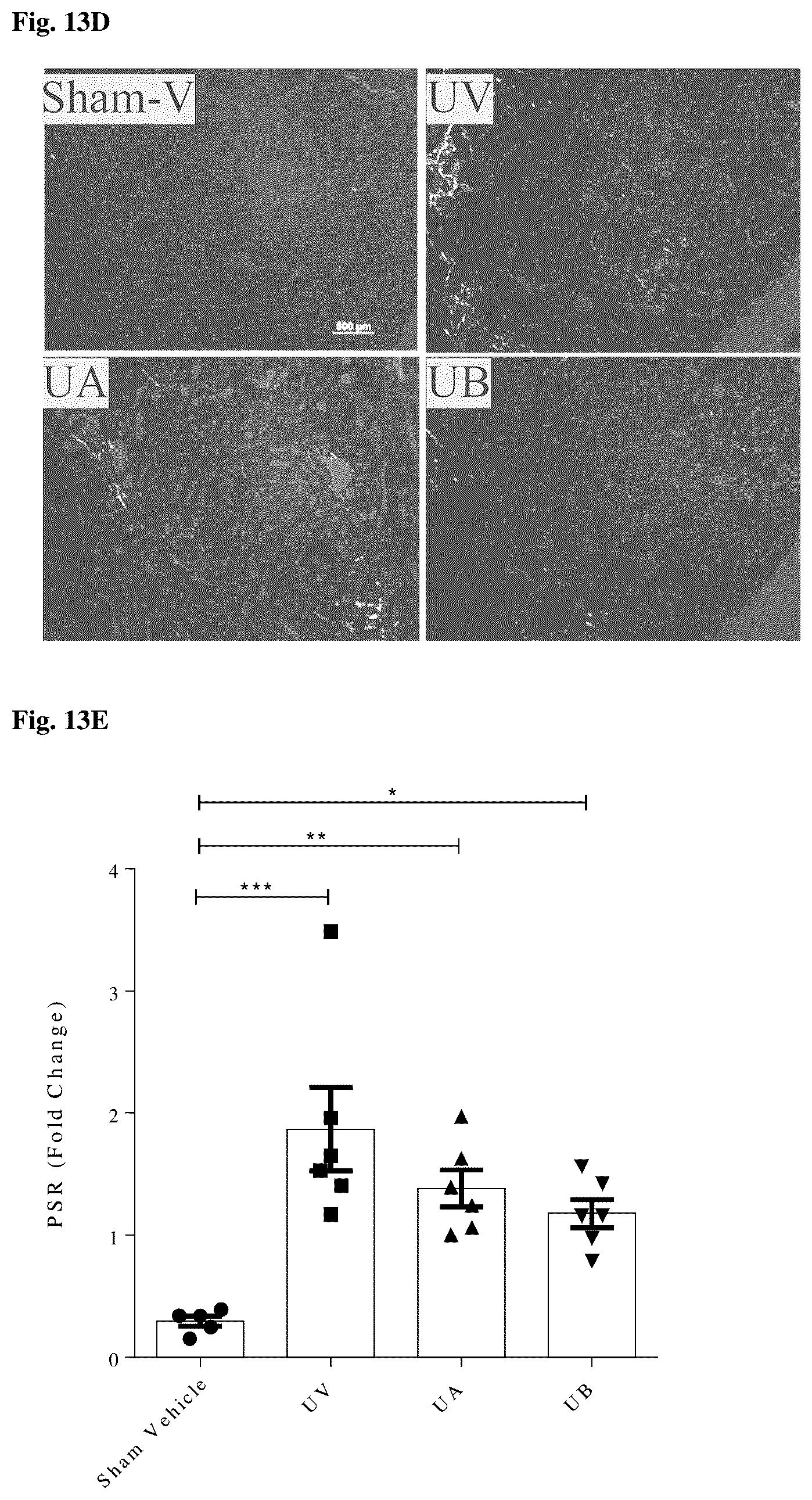 Patent US12396972 Figure 19 – Functionalized long-chain hydrocarbon mono- and di-carboxylic acids and derivatives thereof, and their use for the prevention or treatment of disease