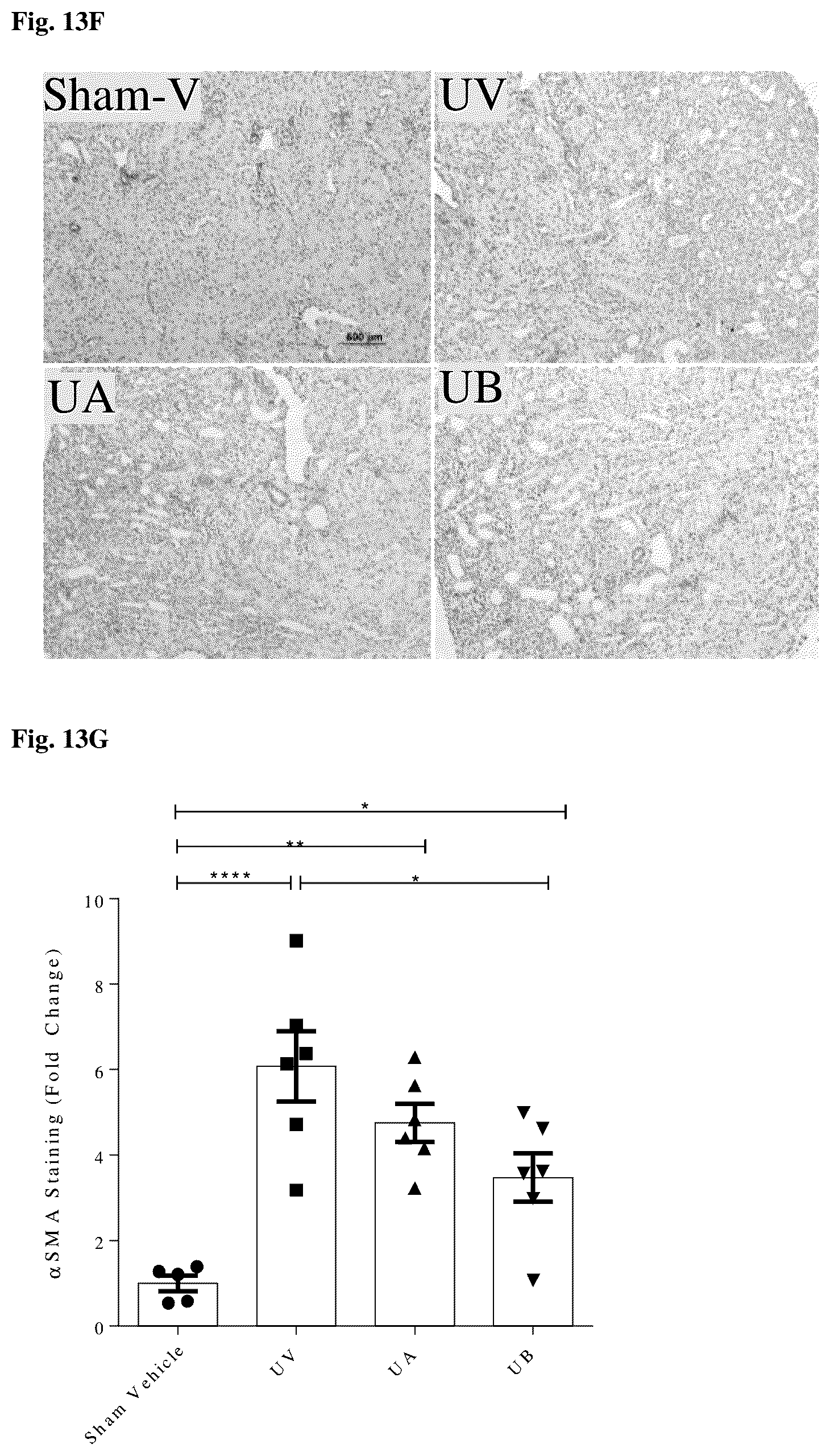 Patent US12396972 Figure 20 – Functionalized long-chain hydrocarbon mono- and di-carboxylic acids and derivatives thereof, and their use for the prevention or treatment of disease