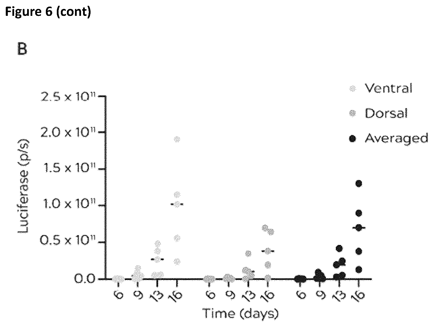 Patent US12396975 Figure 8 – Treatment of al amyloidosis with melflufen