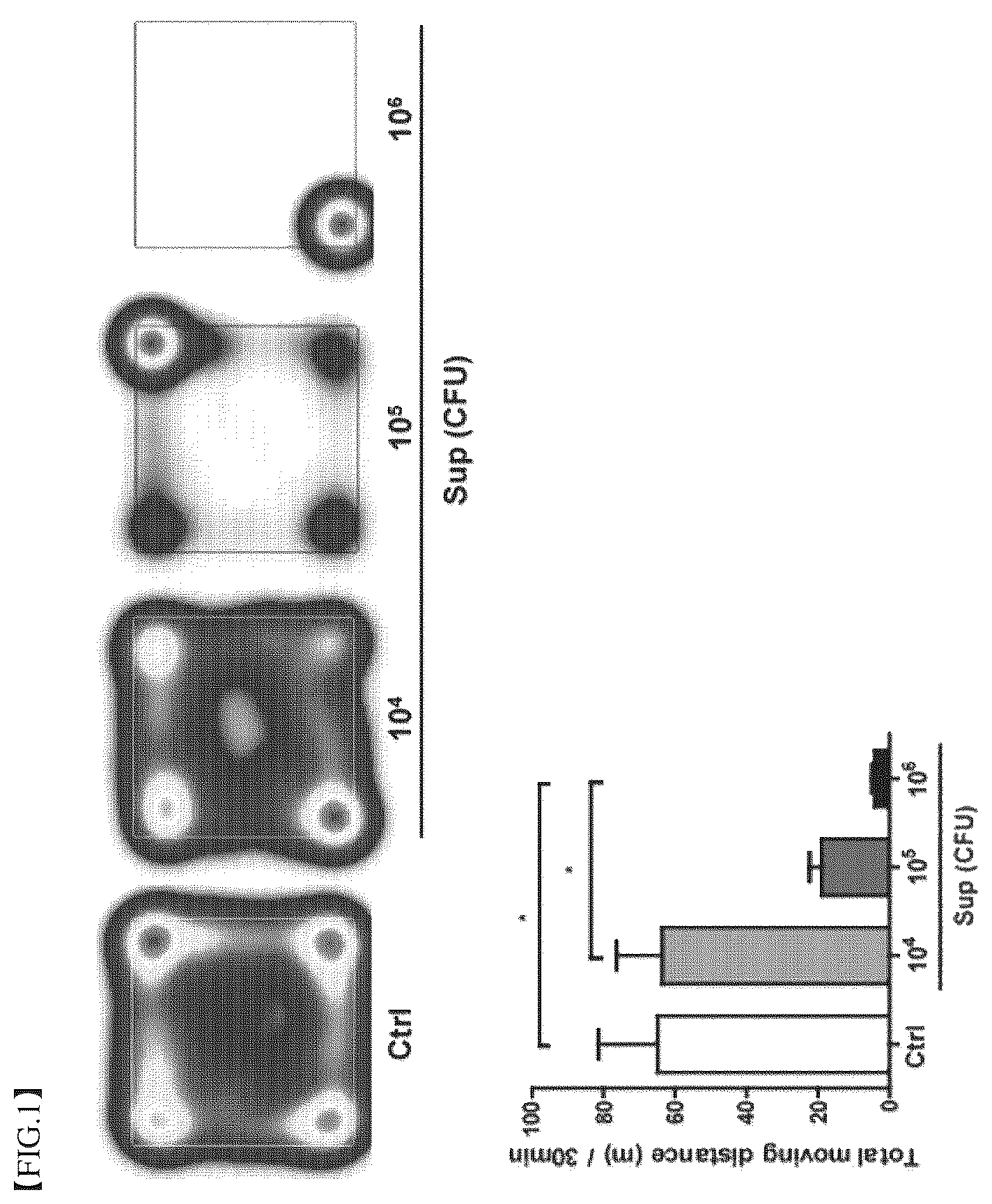 Patent US12396977 Figure 1 – Composition for treating degenerative brain diseases, containing 2-pentylfuran as active ingredient