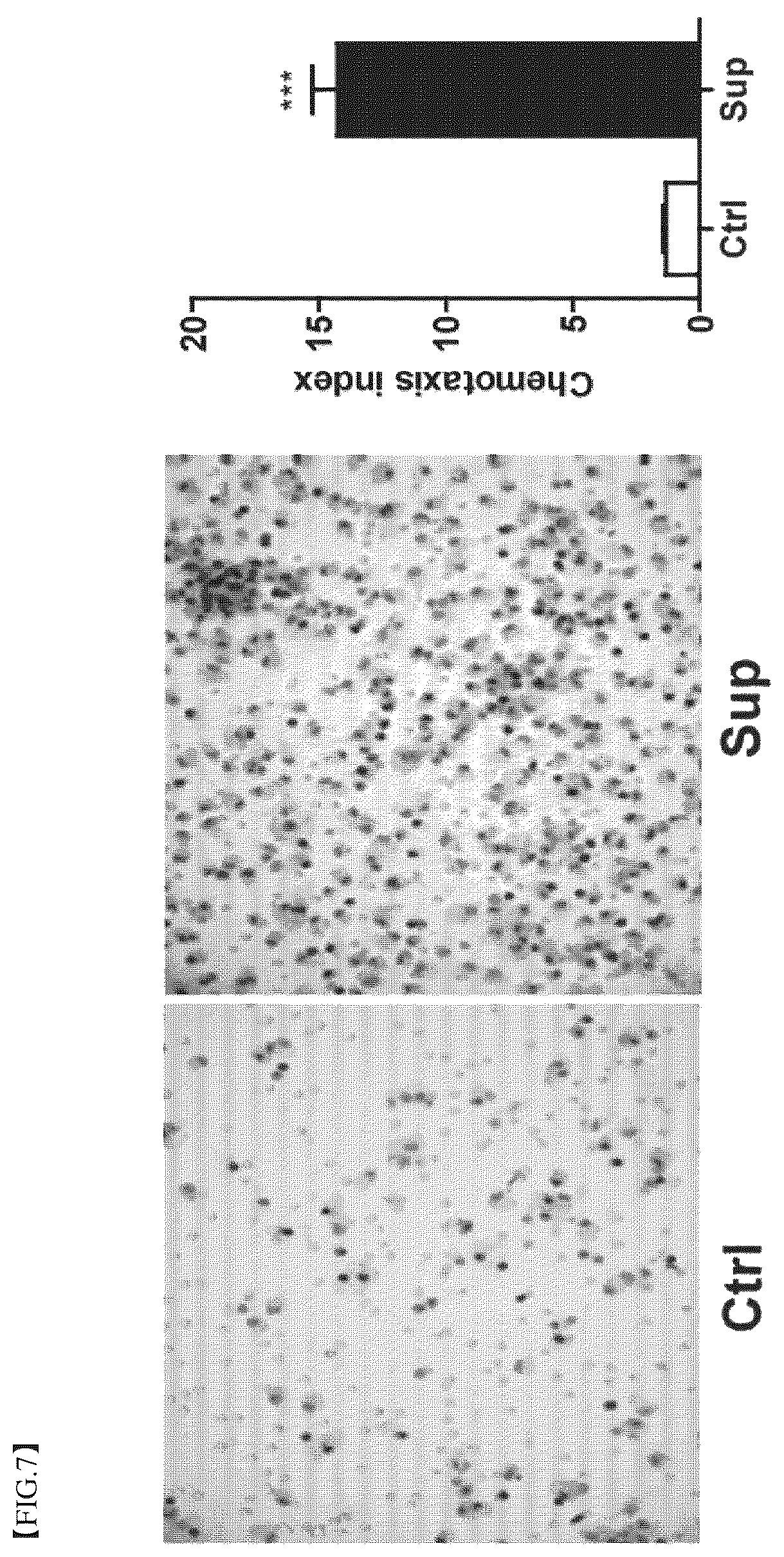 Patent US12396977 Figure 7 – Composition for treating degenerative brain diseases, containing 2-pentylfuran as active ingredient
