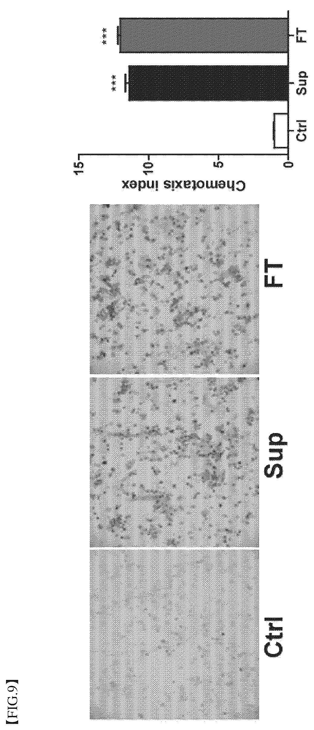 Patent US12396977 Figure 9 – Composition for treating degenerative brain diseases, containing 2-pentylfuran as active ingredient