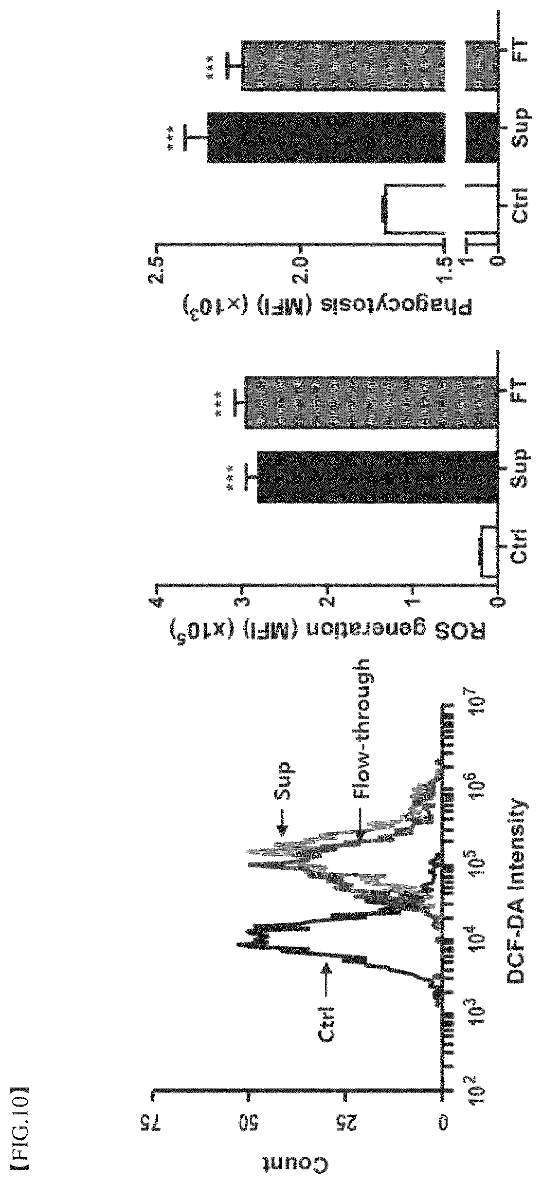 Patent US12396977 Figure 10 – Composition for treating degenerative brain diseases, containing 2-pentylfuran as active ingredient